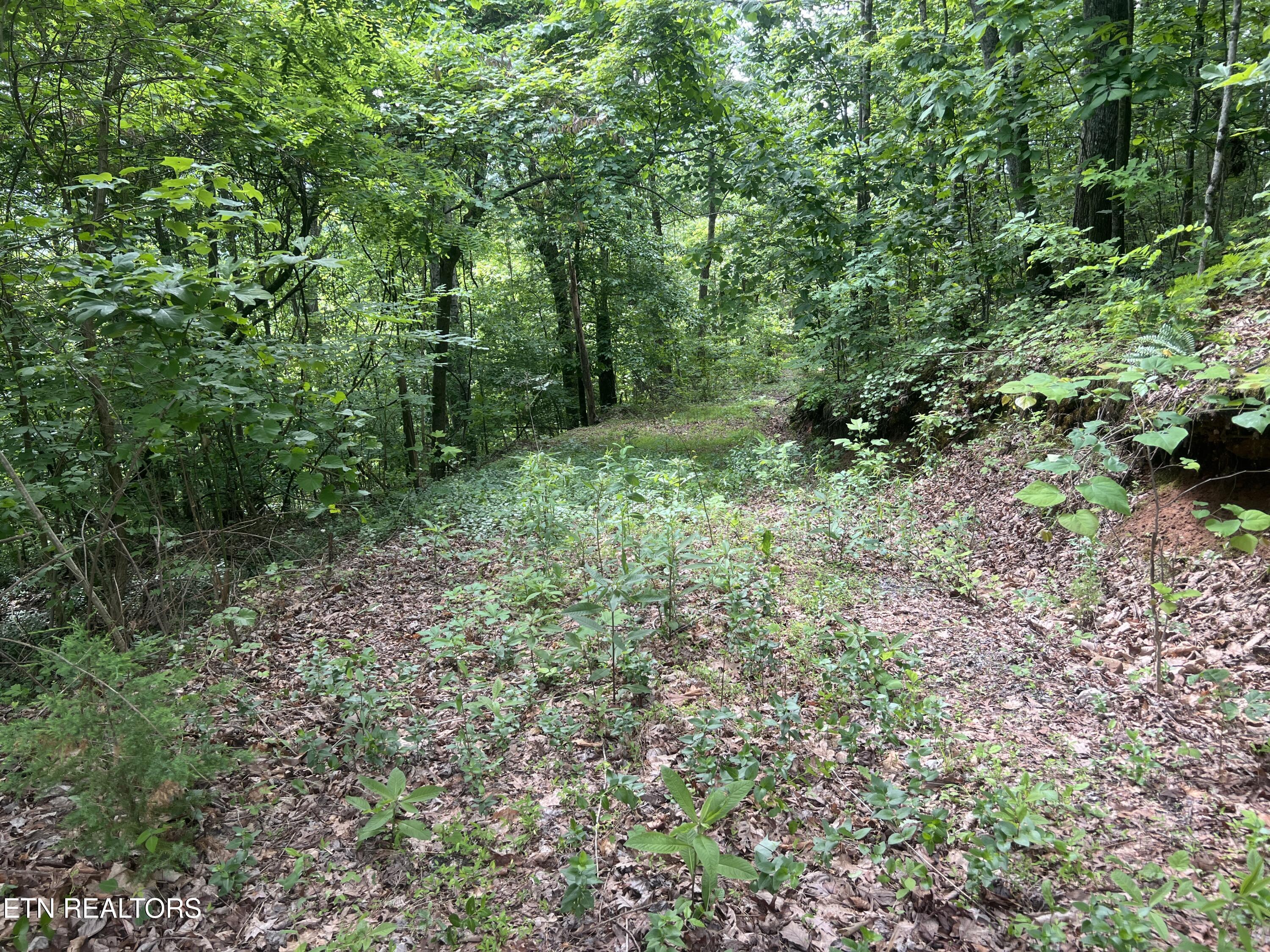 Lot 240-242 Laurel Mountain Road Madisonville TN 37354