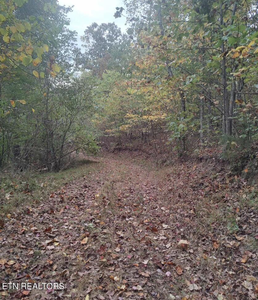 Lot 240-242 Laurel Mountain Road Madisonville TN 37354