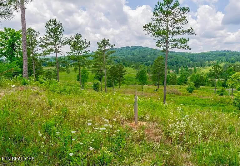 917 Eagle Nest Drive Loudon TN 37774