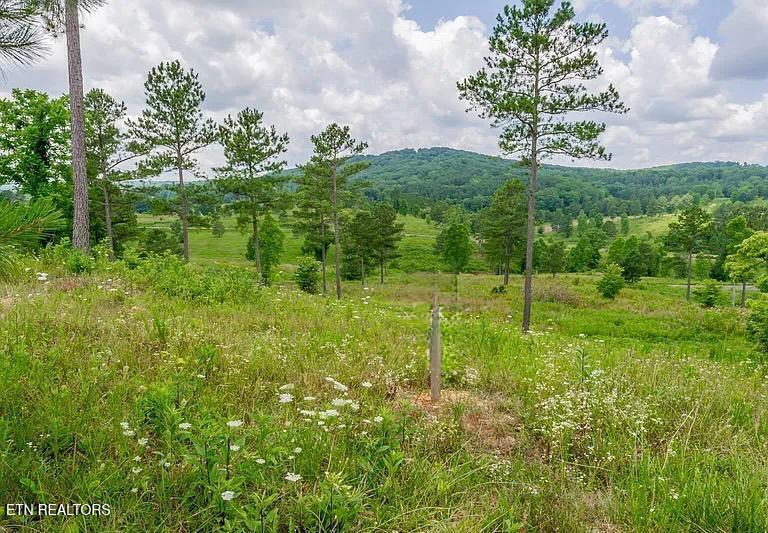 917 Eagle Nest Drive Loudon TN 37774