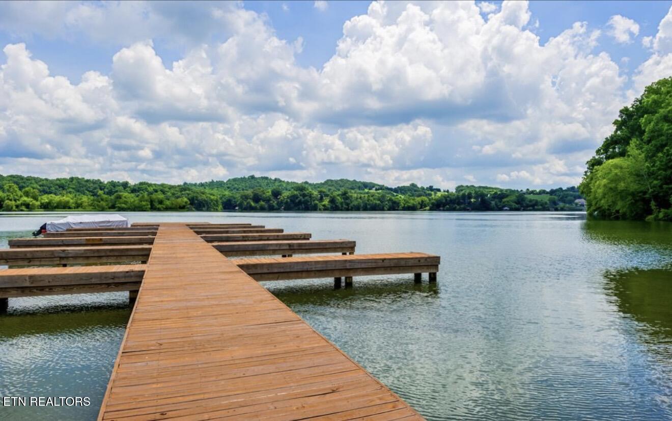 917 Eagle Nest Drive Loudon TN 37774