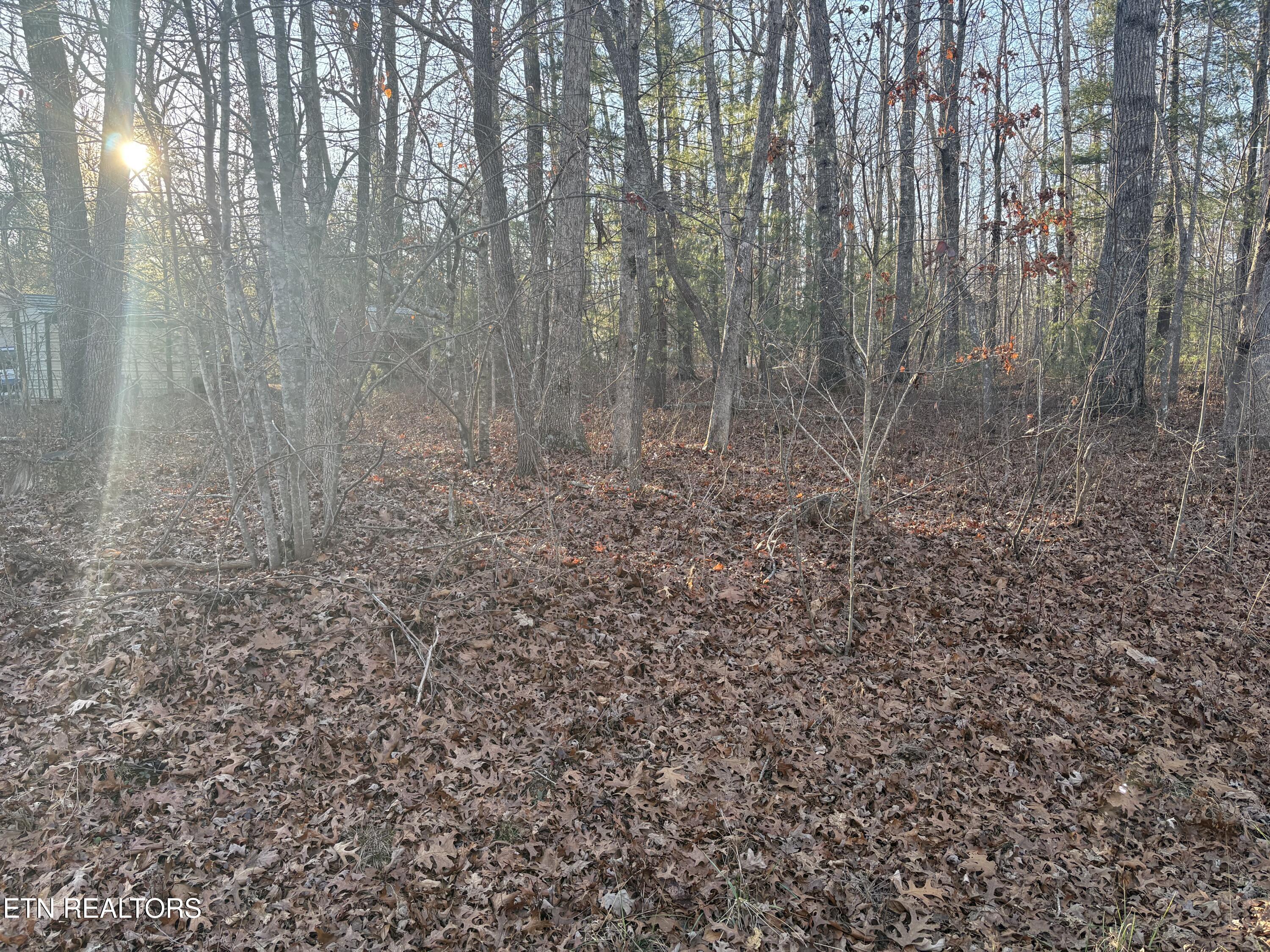 107 Ola Drive Crossville TN 38572
