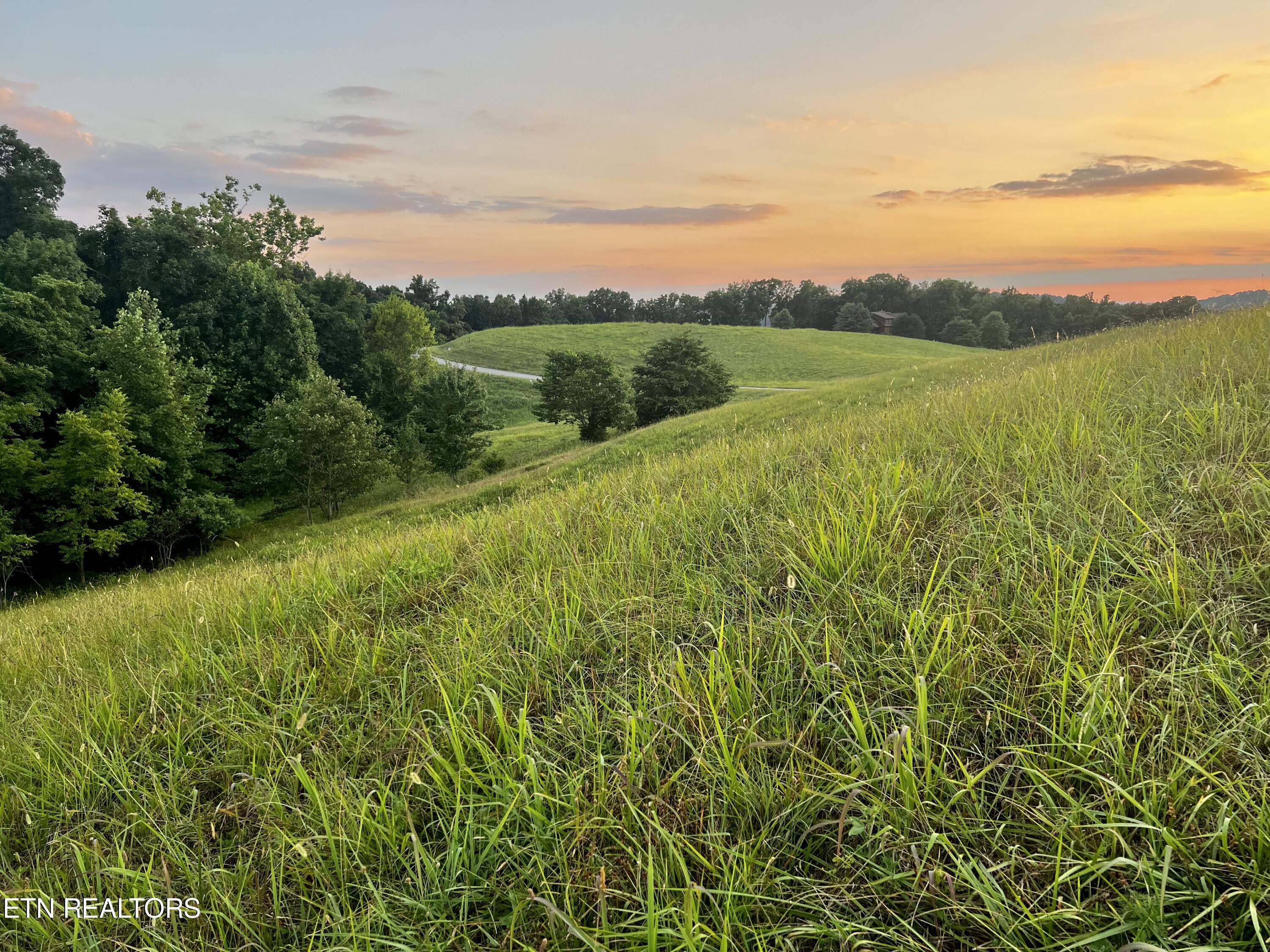 Lot 146 Tanzanite Trail New Tazewell TN 37825