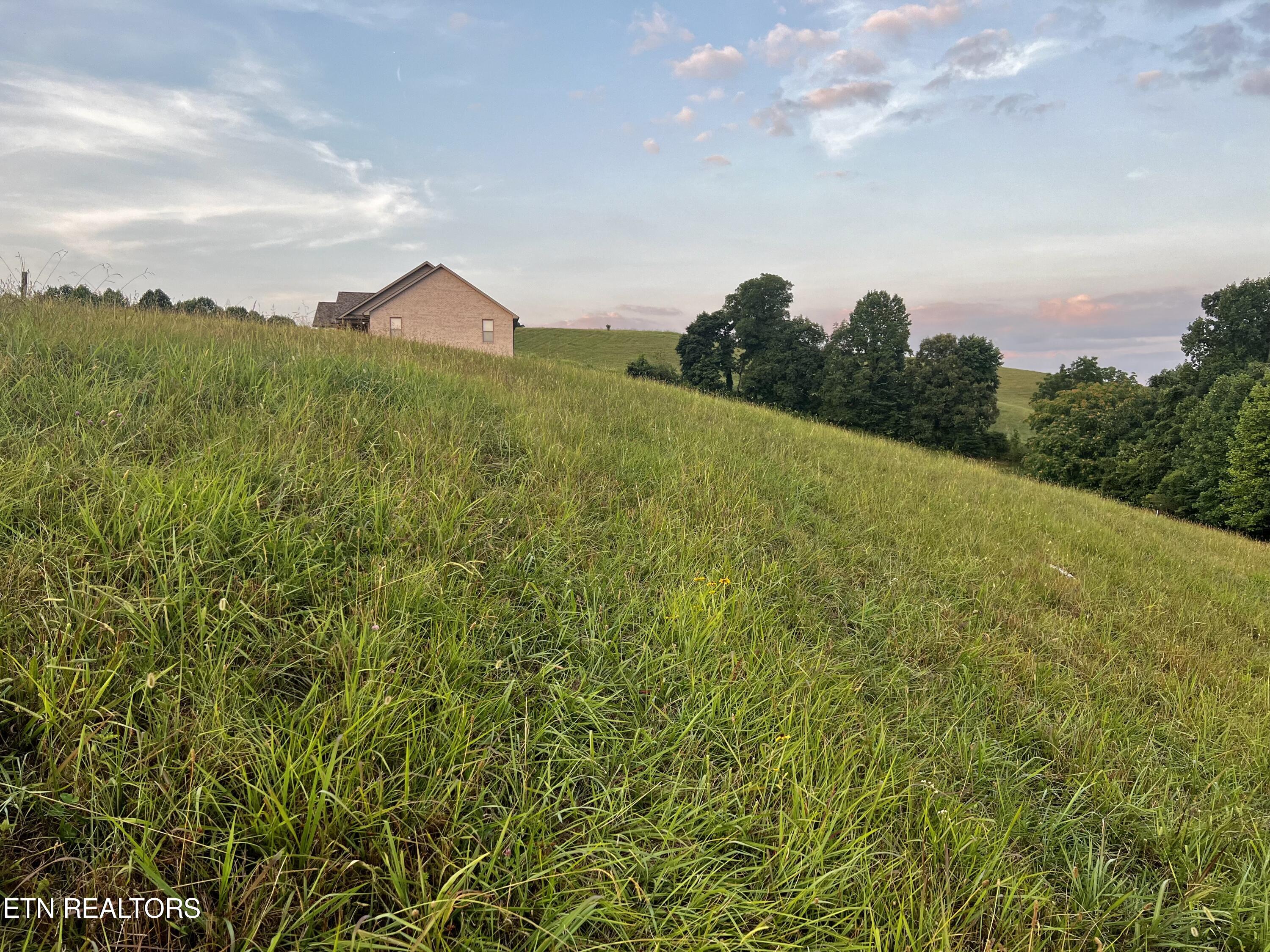 Lot 146 Tanzanite Trail New Tazewell TN 37825