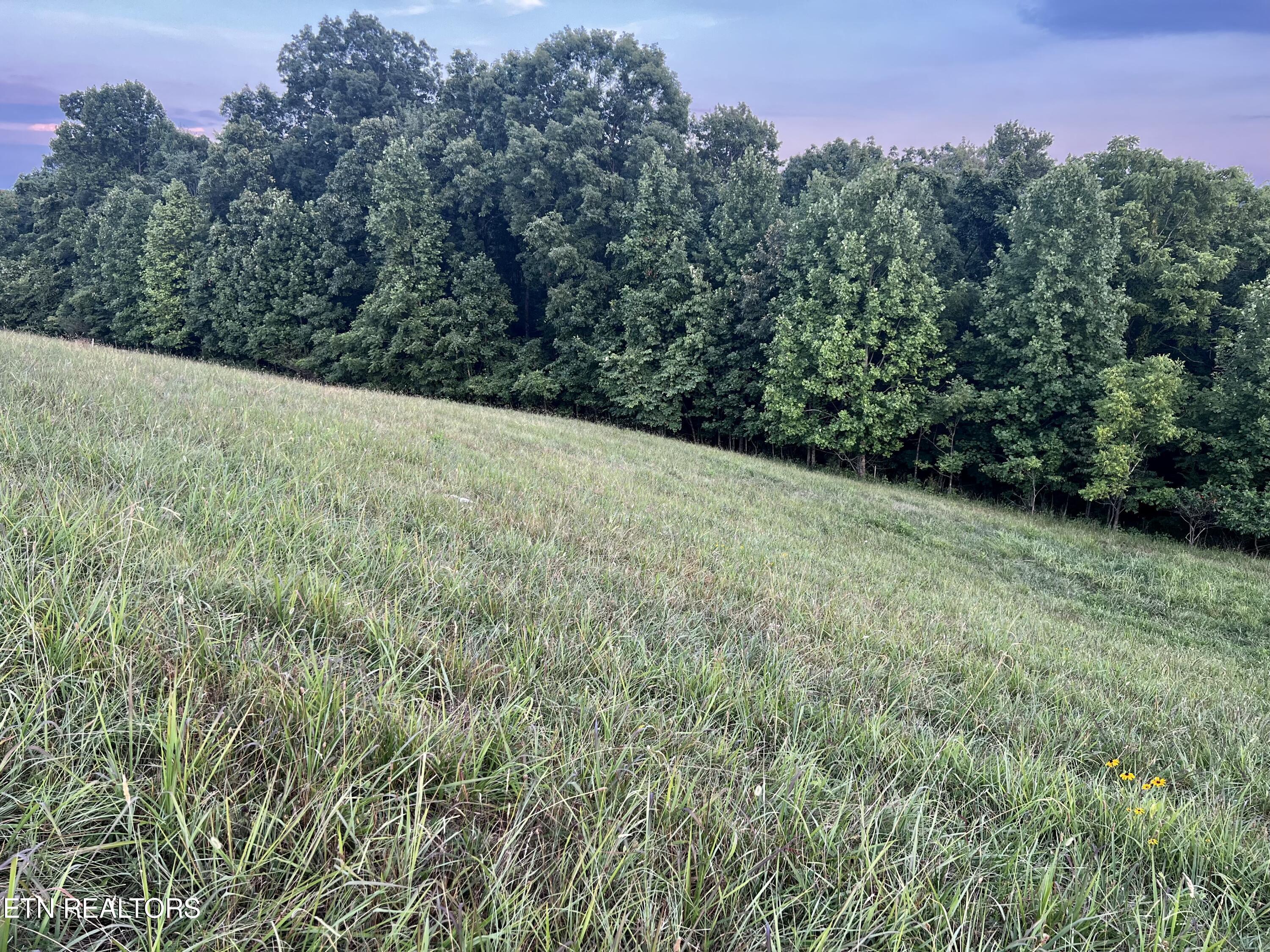Lot 146 Tanzanite Trail New Tazewell TN 37825
