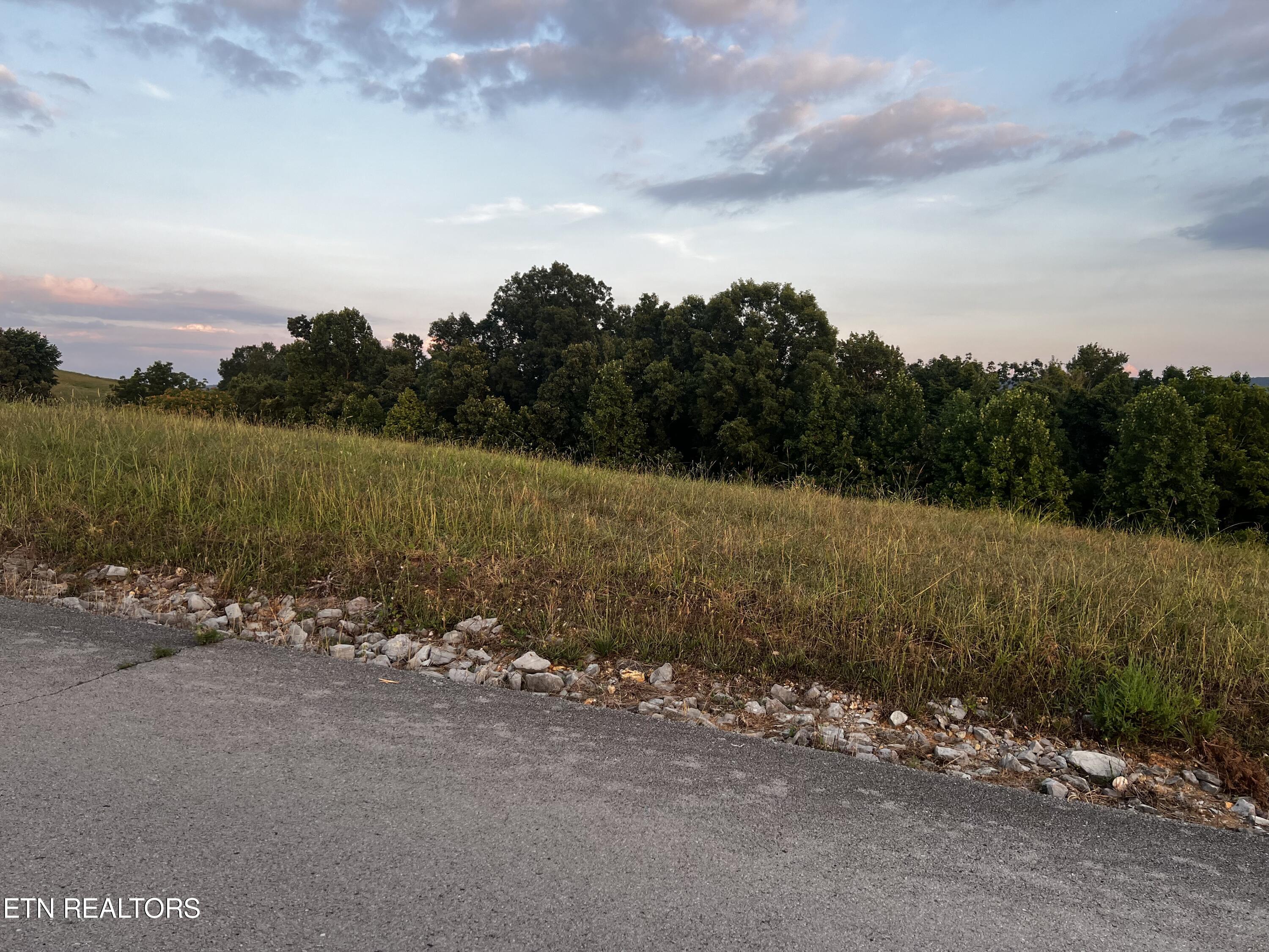 Lot 146 Tanzanite Trail New Tazewell TN 37825