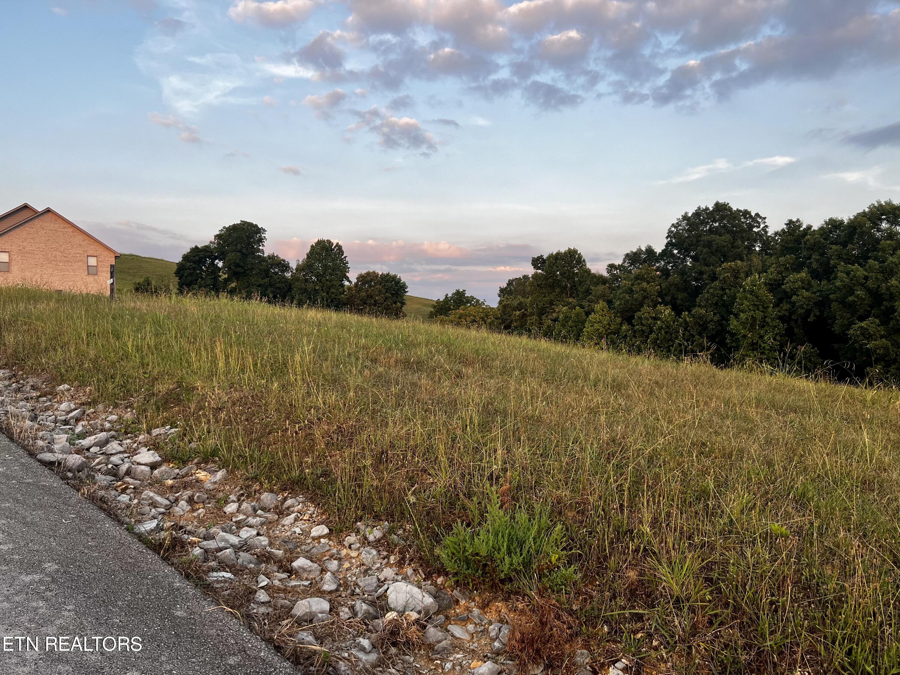 Lot 146 Tanzanite Trail New Tazewell TN 37825