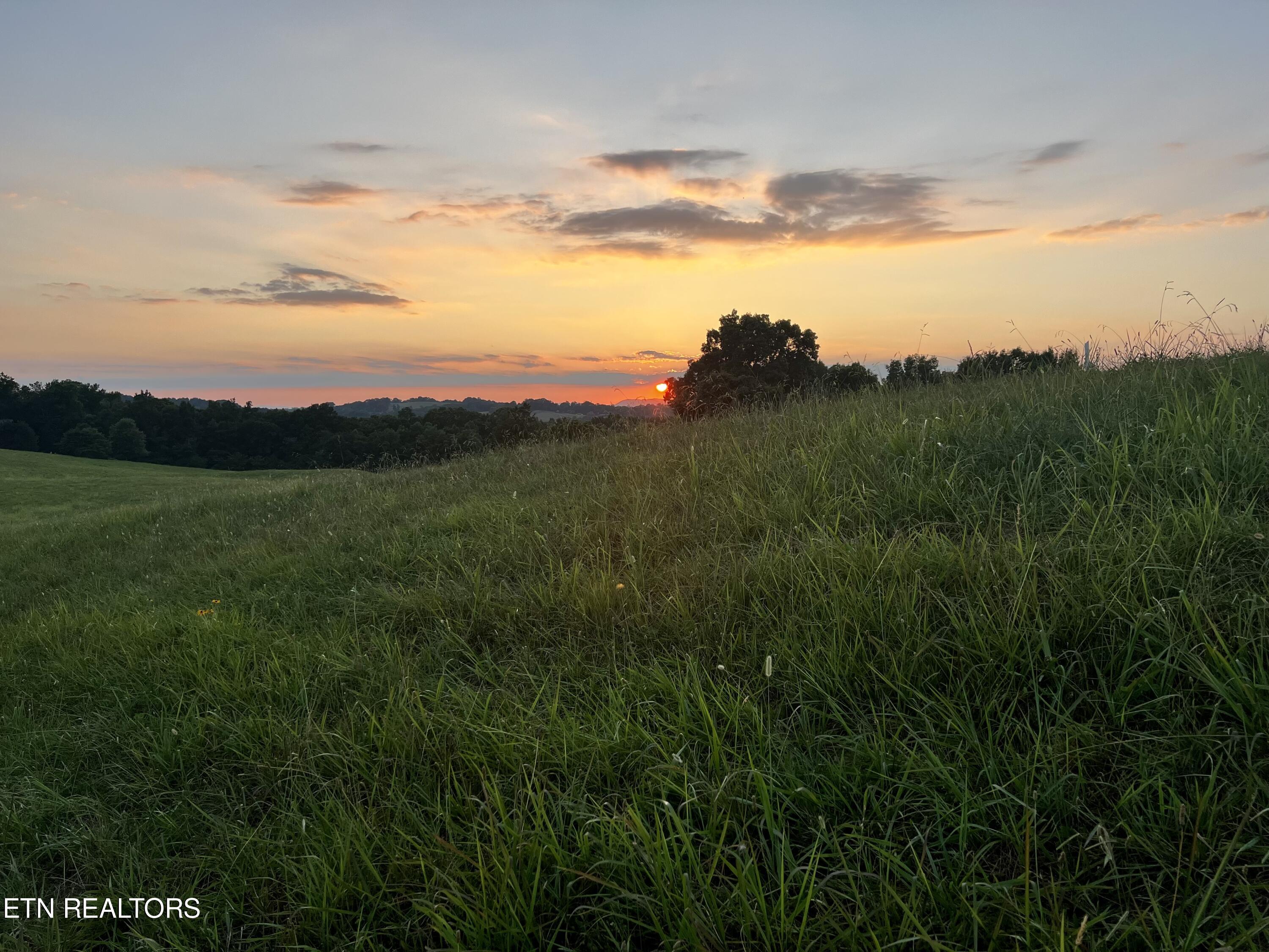Lot 146 Tanzanite Trail New Tazewell TN 37825