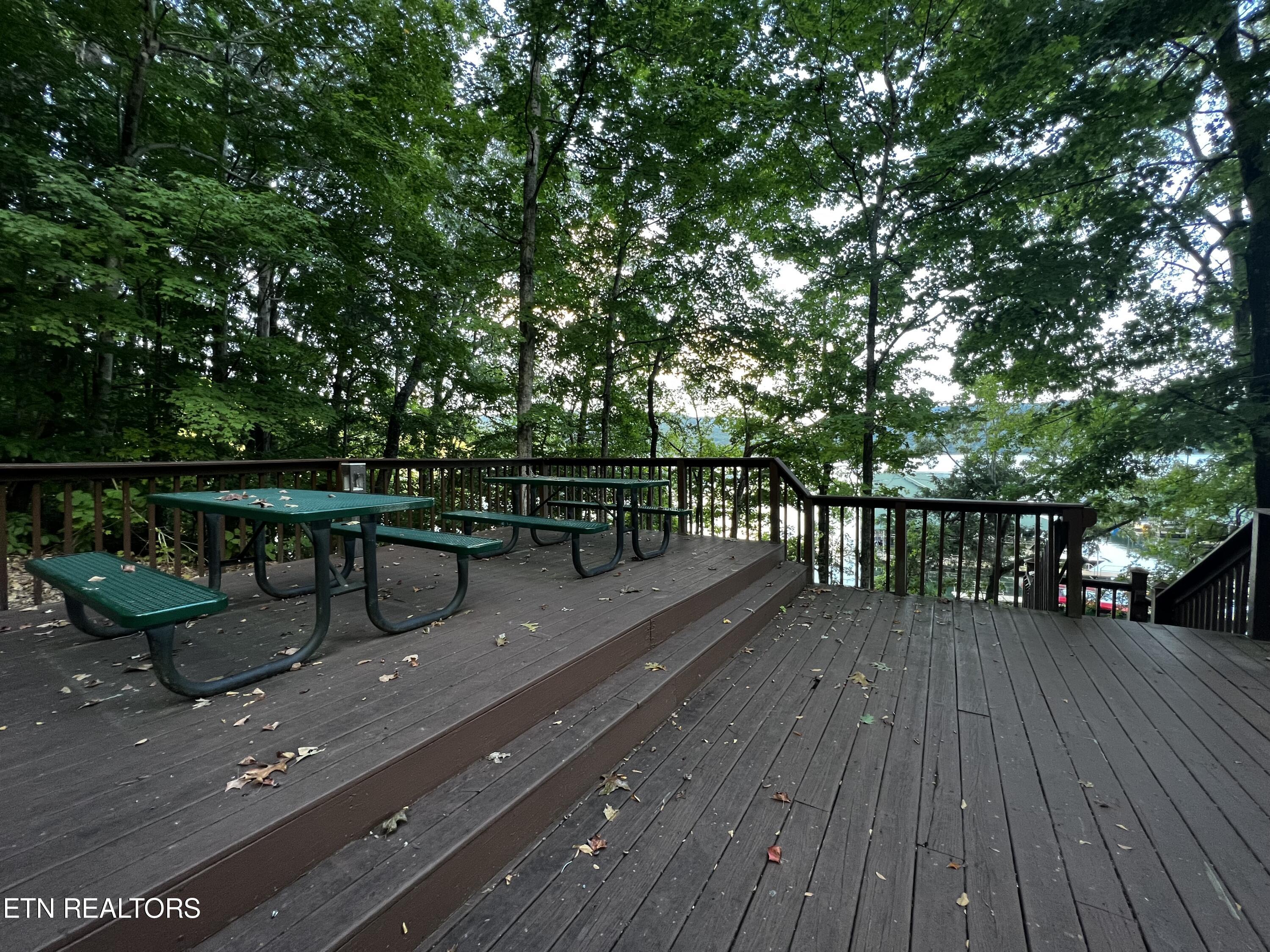 Lot 146 Tanzanite Trail New Tazewell TN 37825