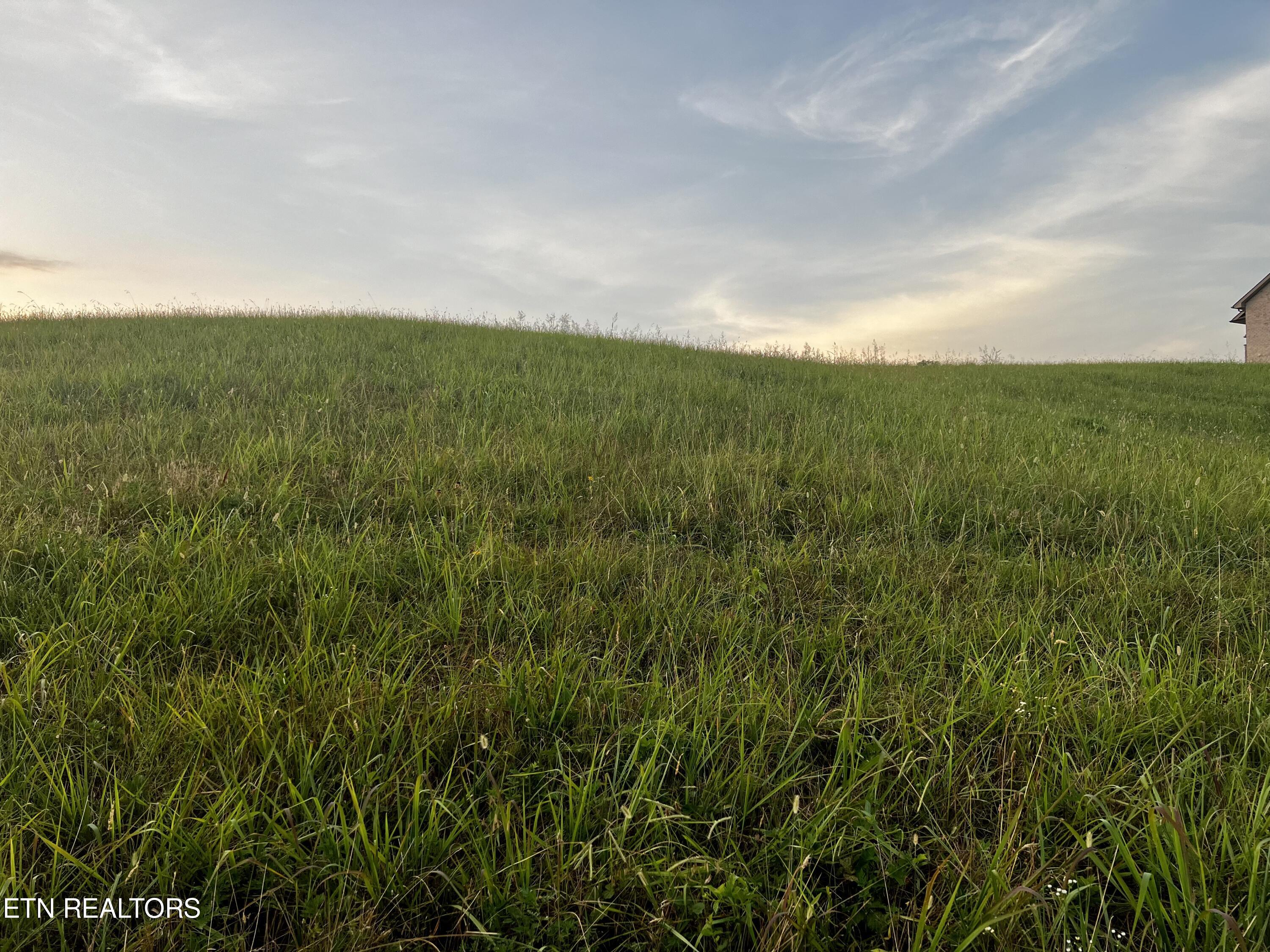Lot 146 Tanzanite Trail New Tazewell TN 37825