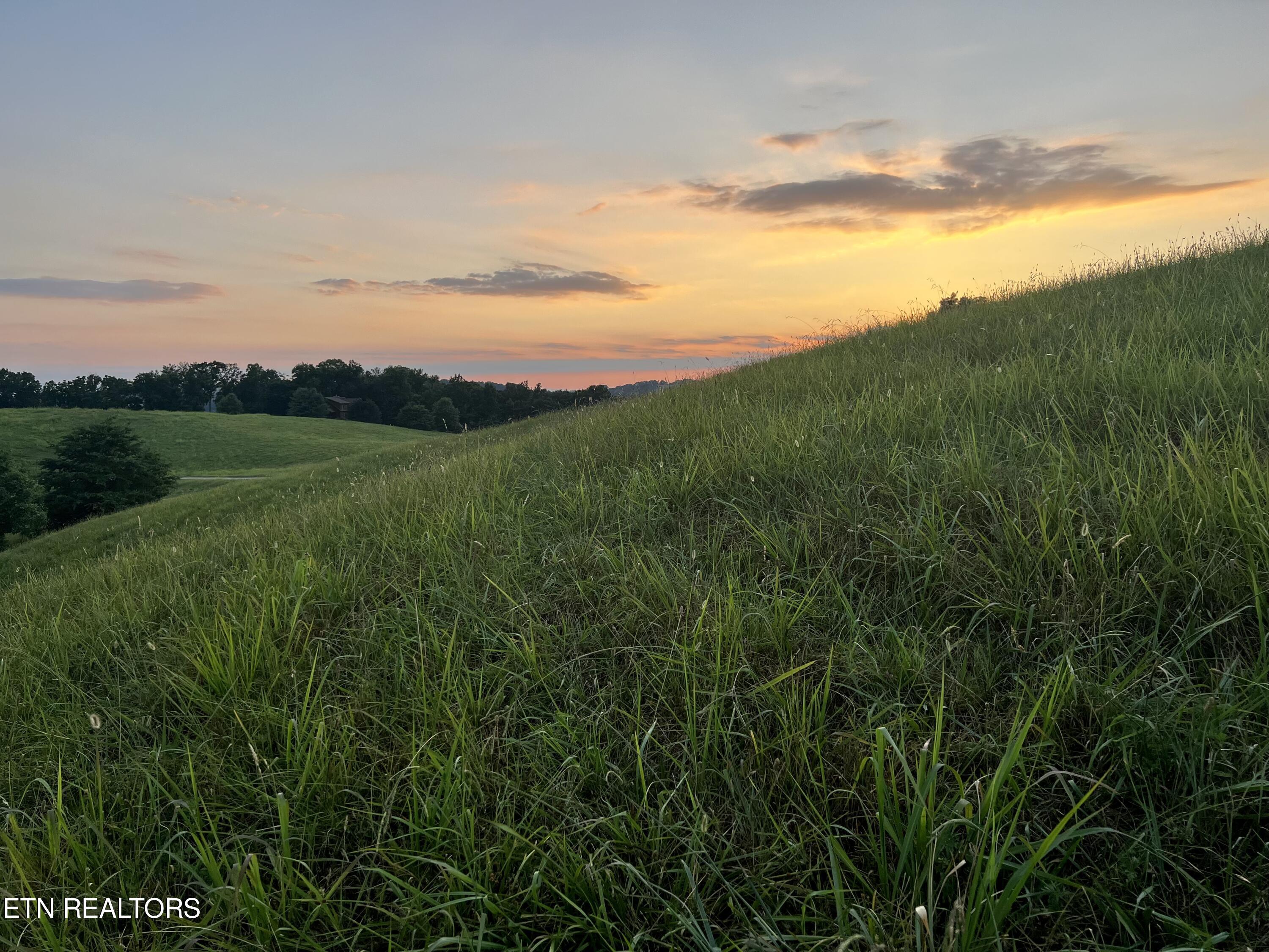 Lot 146 Tanzanite Trail New Tazewell TN 37825