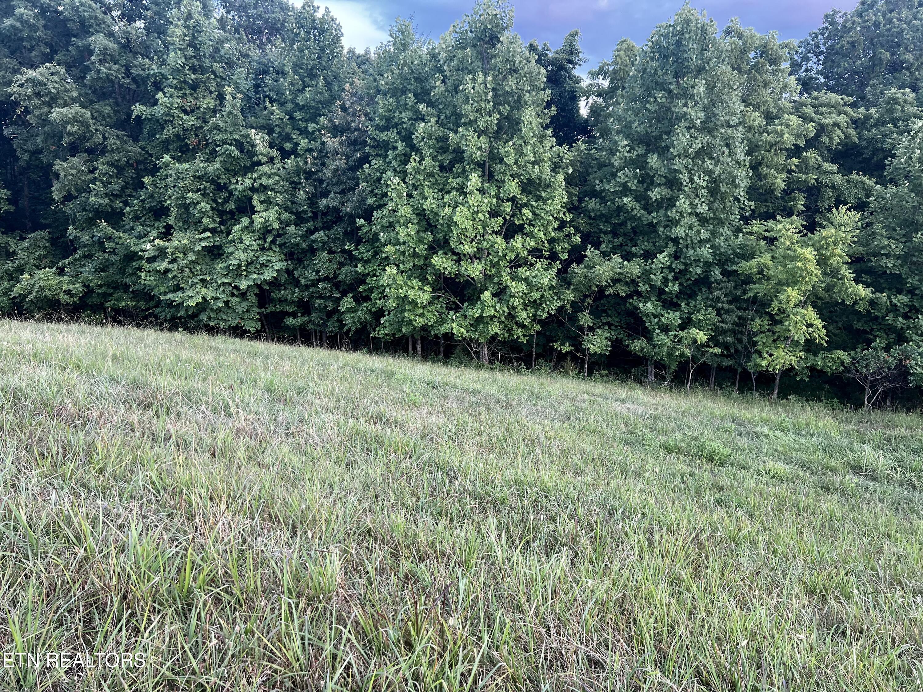 Lot 146 Tanzanite Trail New Tazewell TN 37825