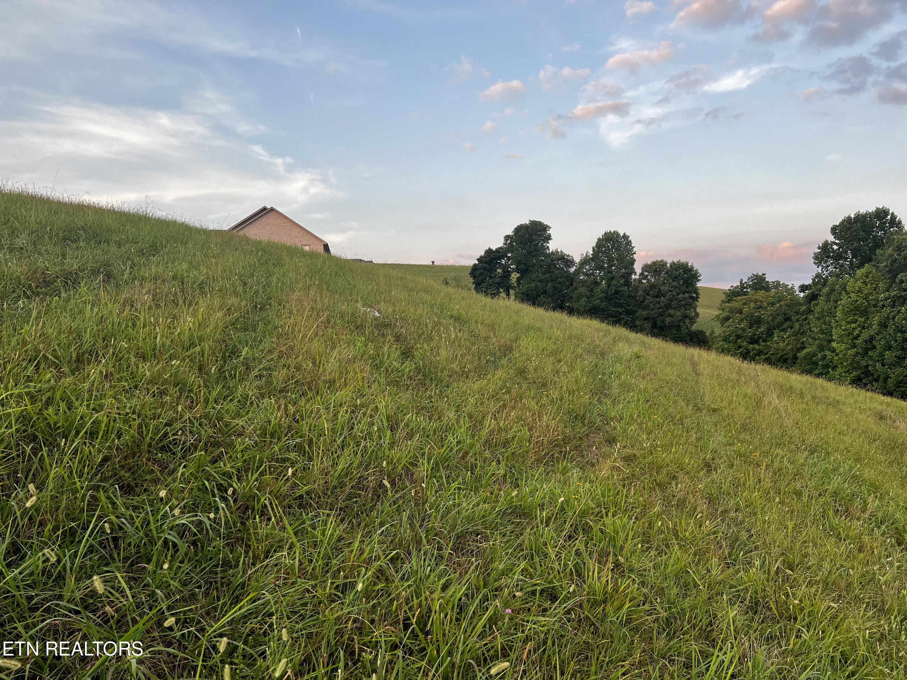 Lot 146 Tanzanite Trail New Tazewell TN 37825
