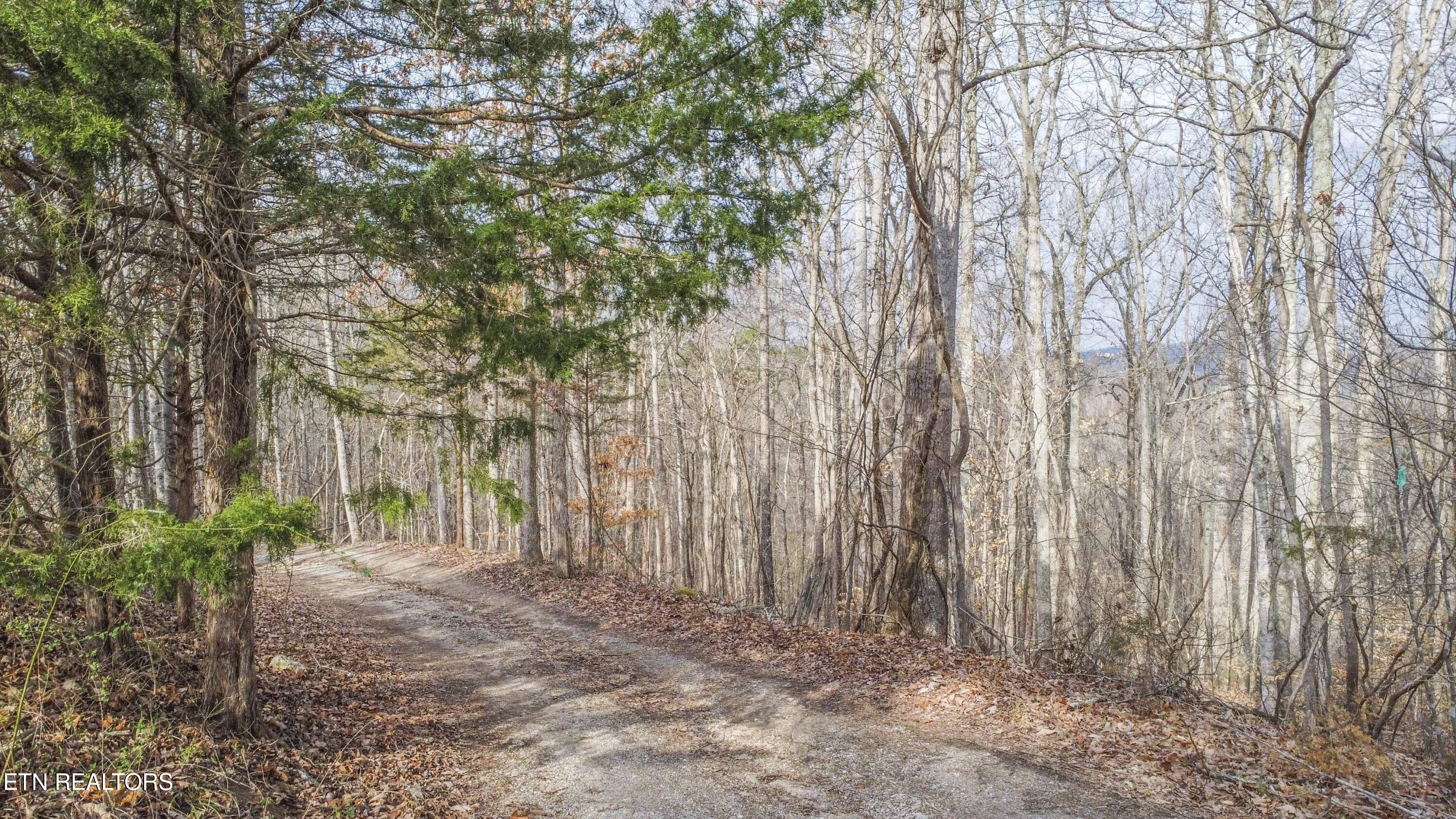 Meandering Circle Maynardville TN 37807