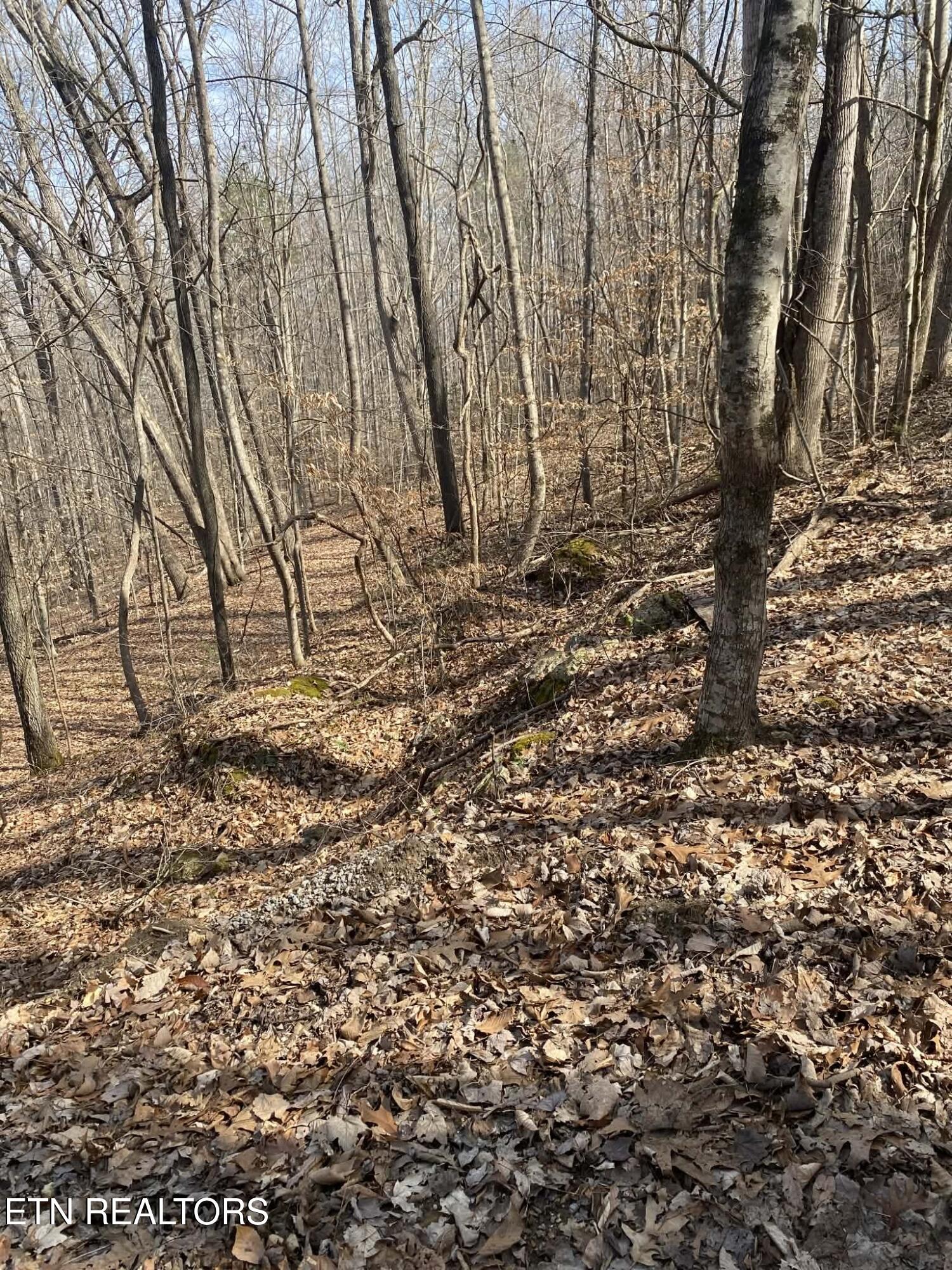 Meandering Circle Maynardville TN 37807