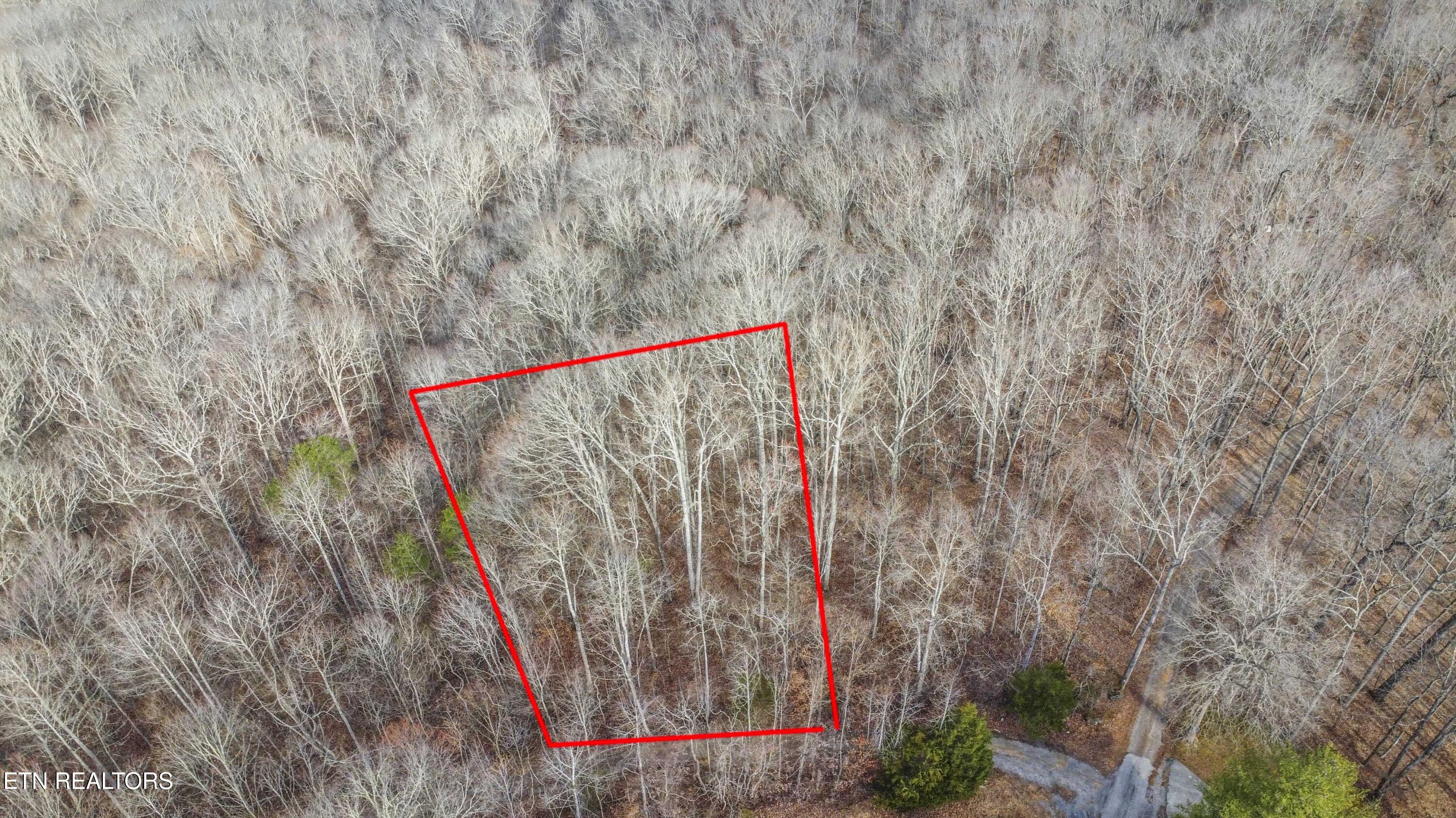 Meandering Circle Maynardville TN 37807