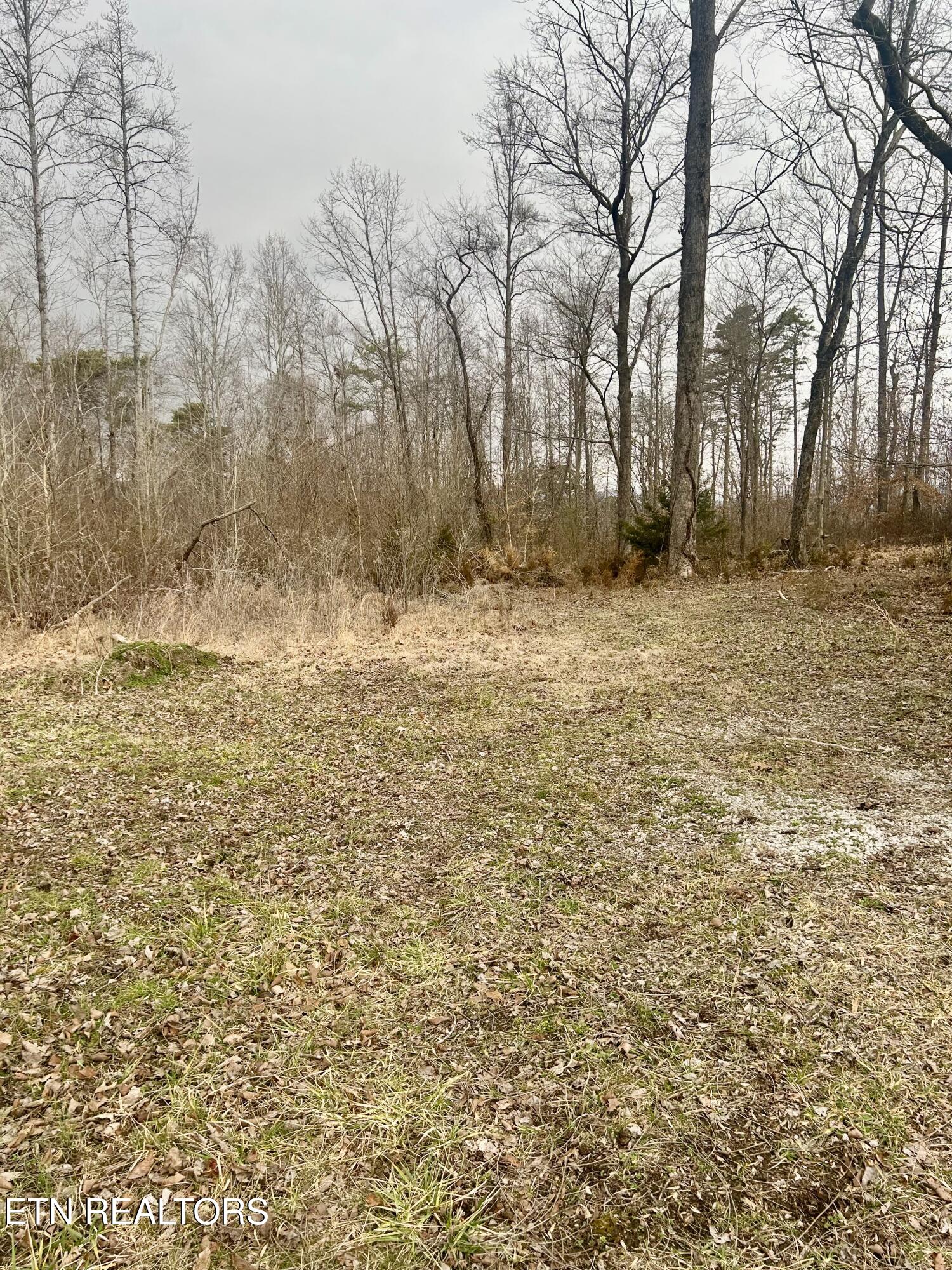 River Road Jacksboro TN 37757