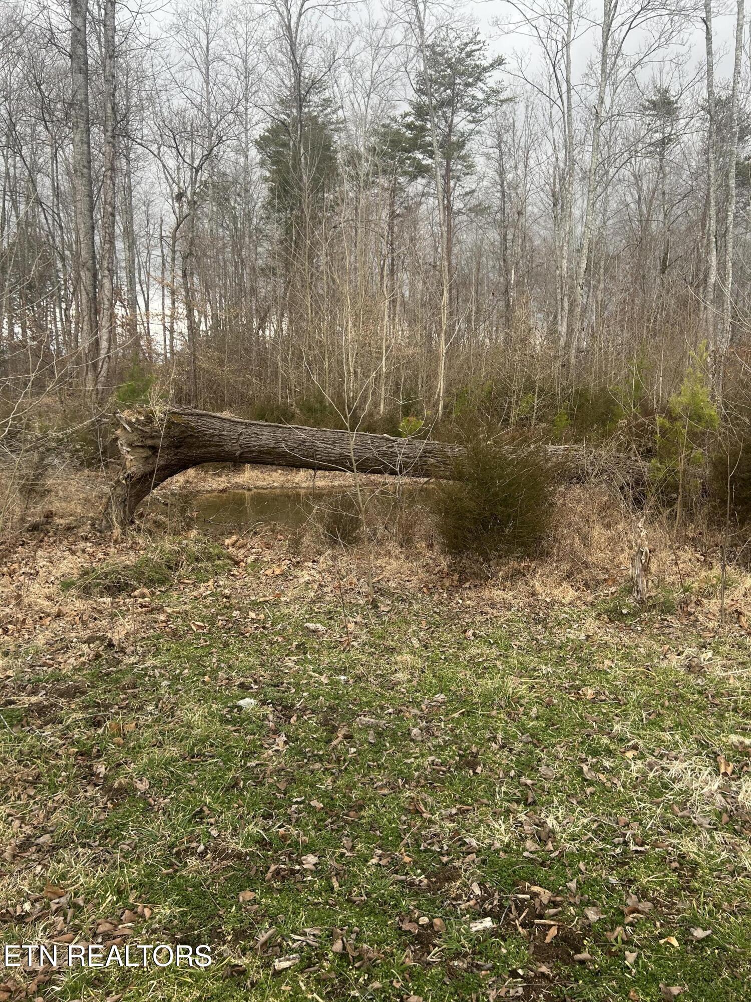 River Road Jacksboro TN 37757