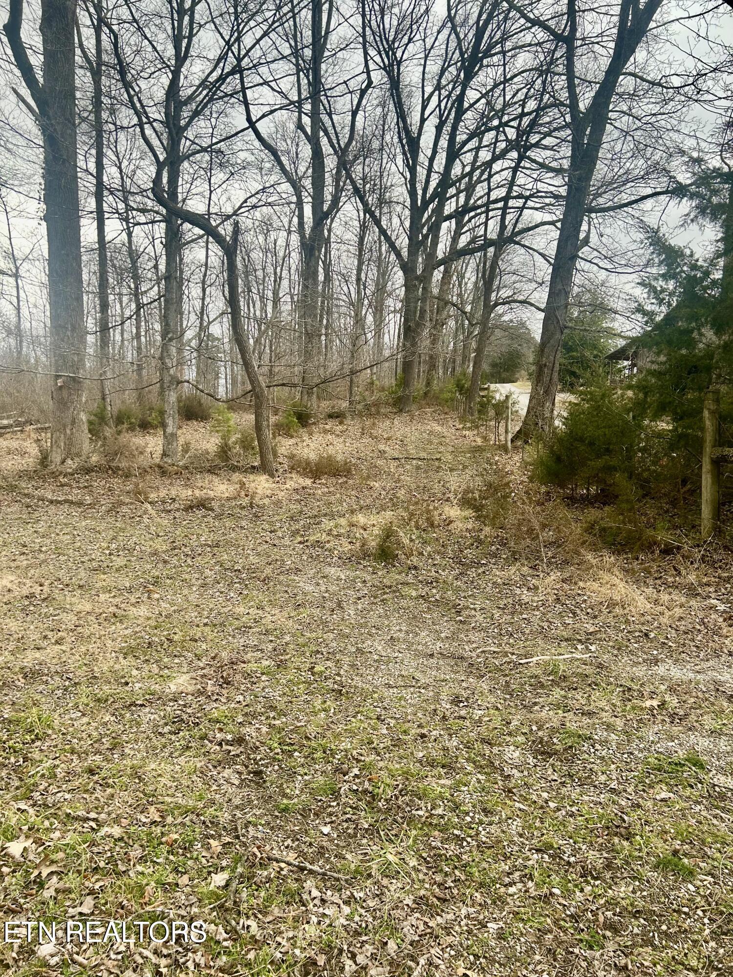 River Road Jacksboro TN 37757