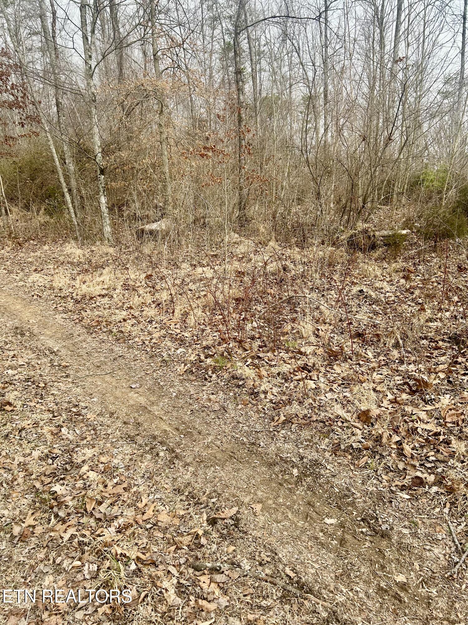 River Road Jacksboro TN 37757