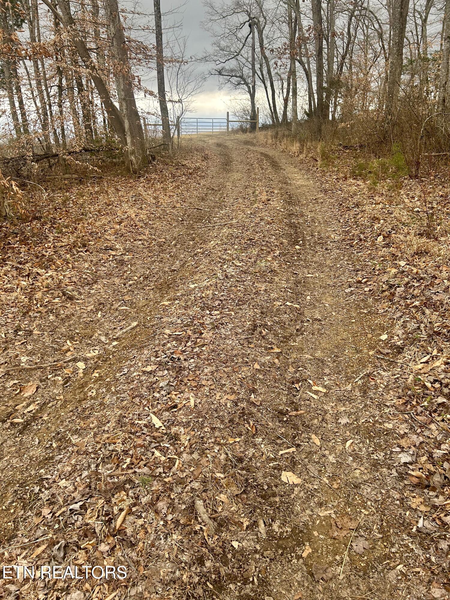 River Road Jacksboro TN 37757