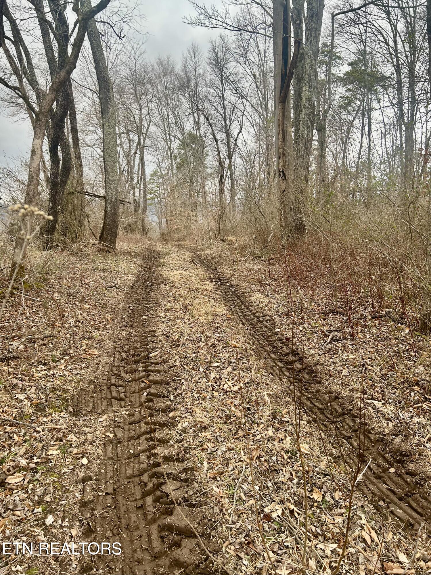 River Road Jacksboro TN 37757