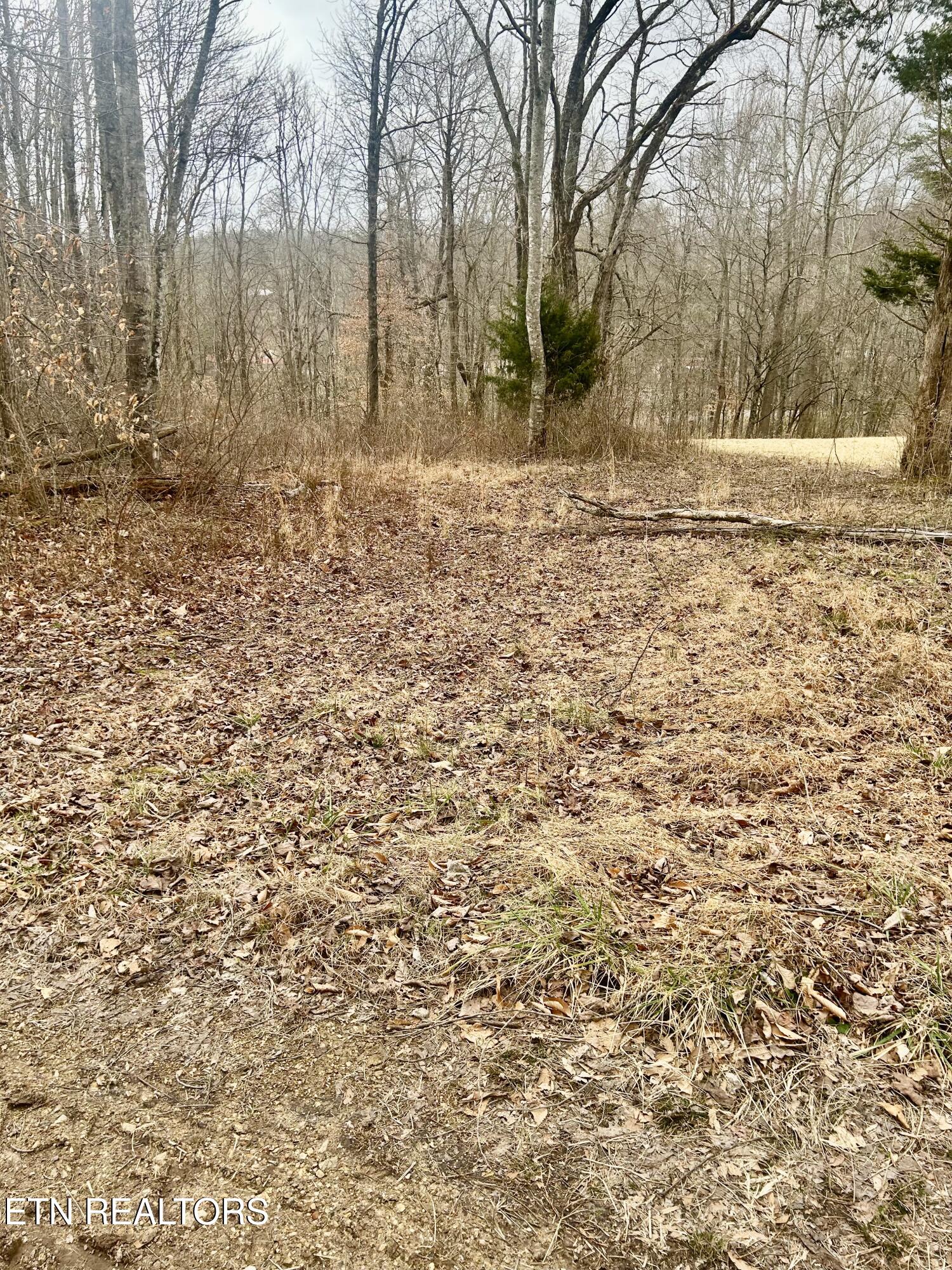 River Road Jacksboro TN 37757