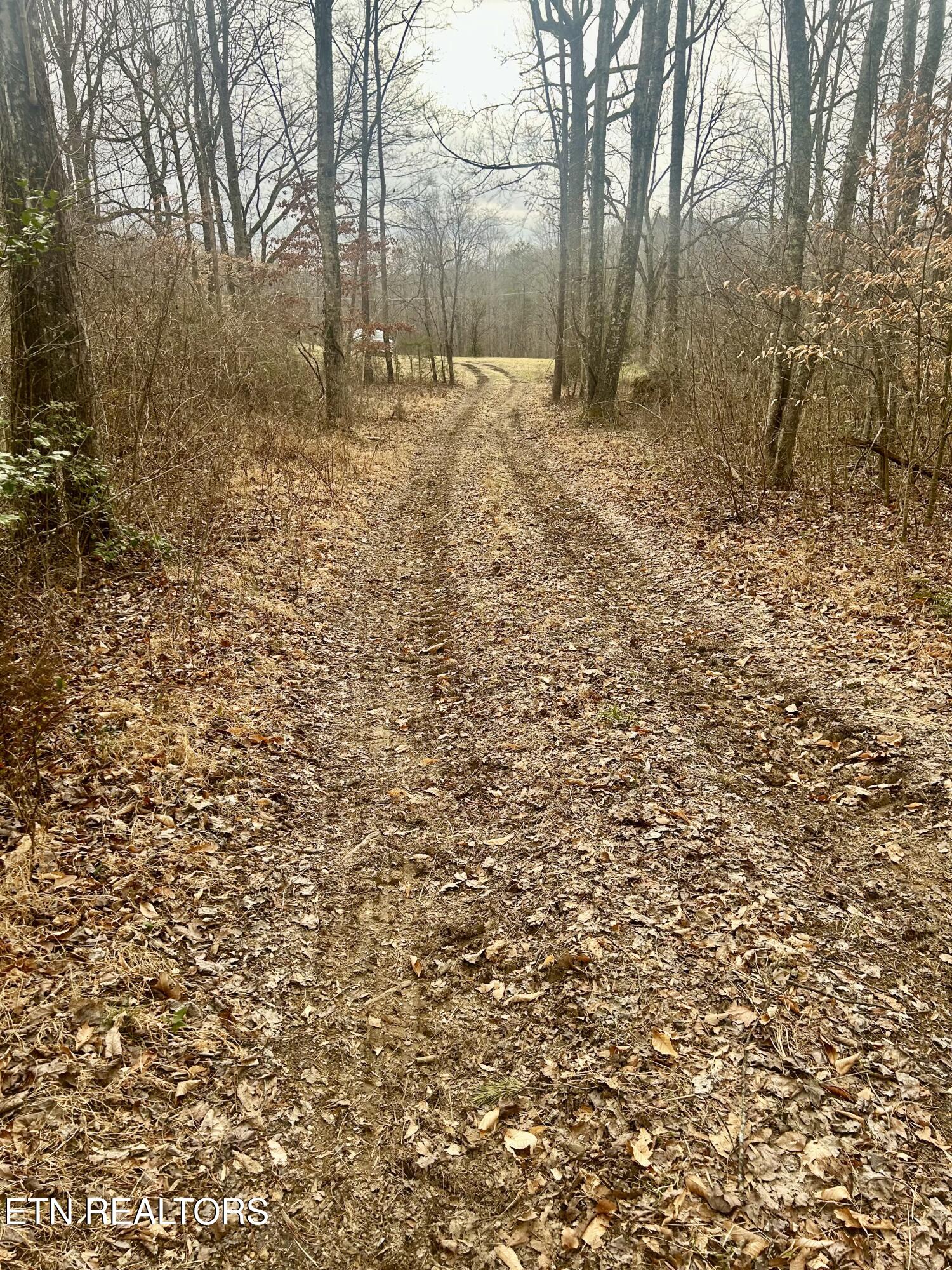 River Road Jacksboro TN 37757