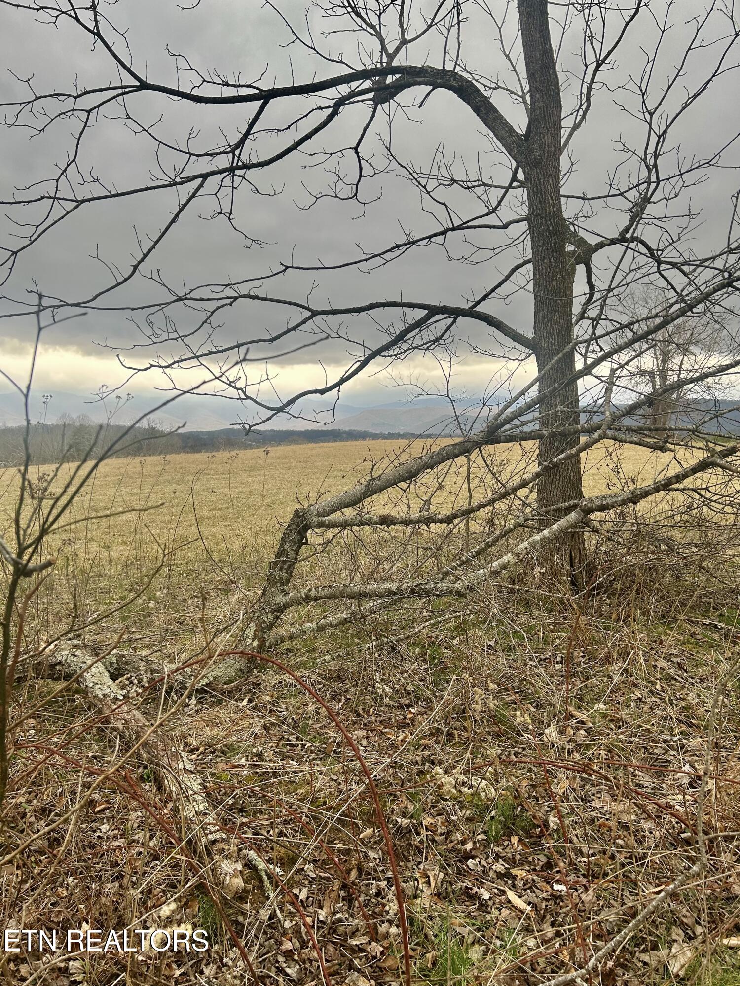 River Road Jacksboro TN 37757