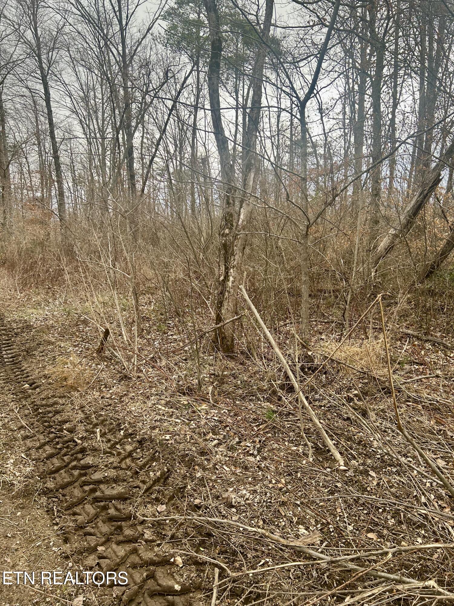 River Road Jacksboro TN 37757