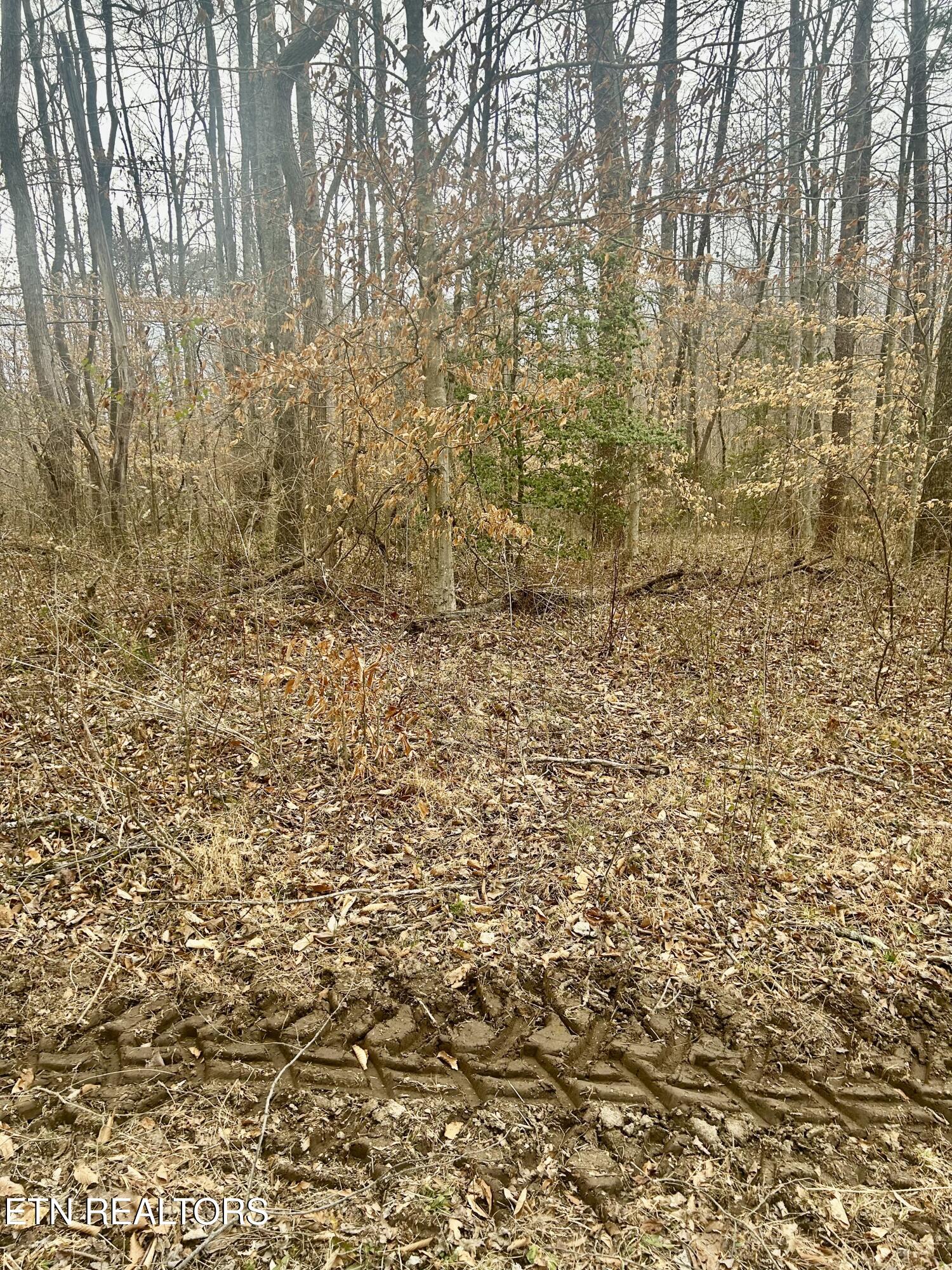 River Road Jacksboro TN 37757
