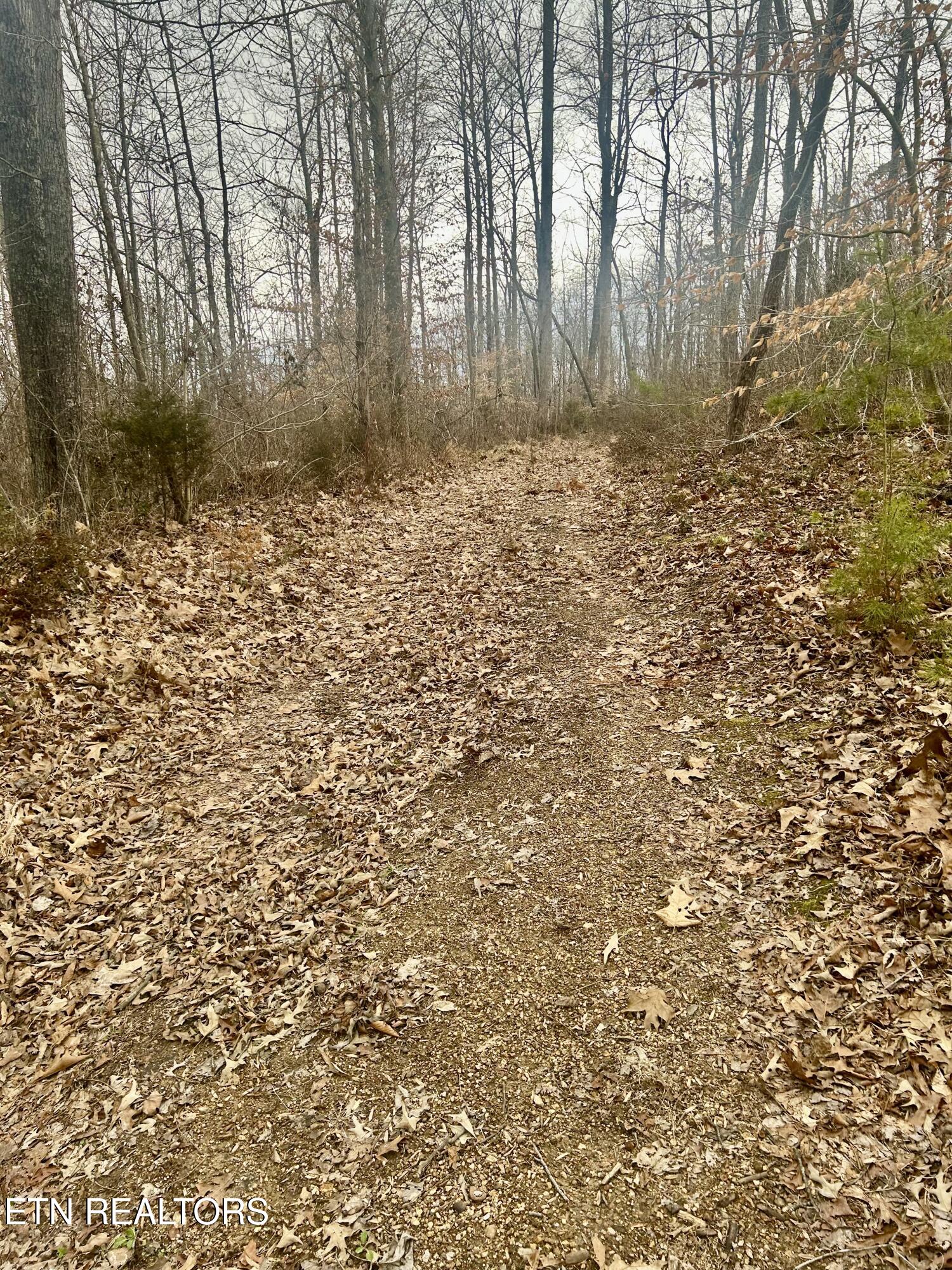River Road Jacksboro TN 37757