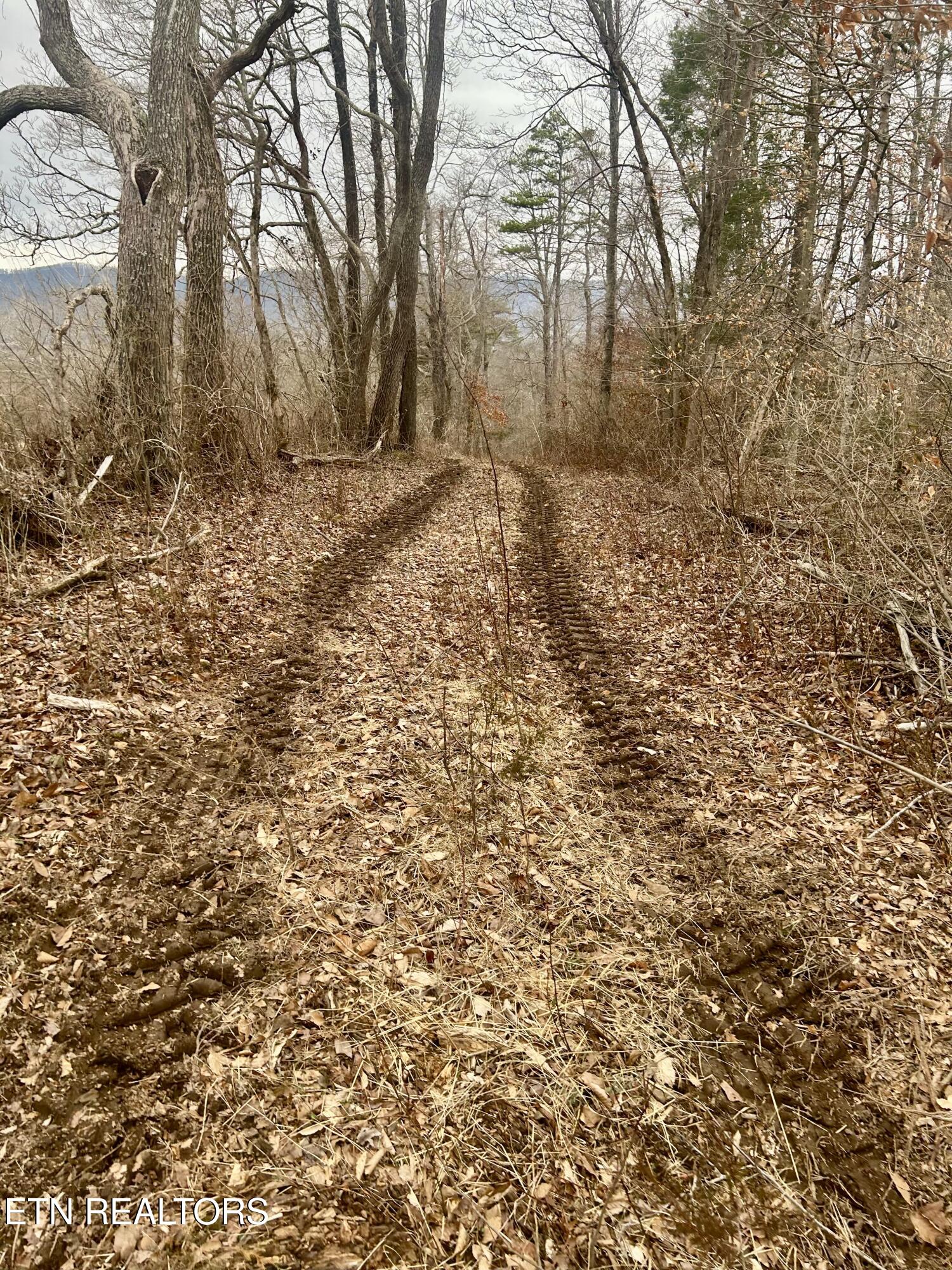 River Road Jacksboro TN 37757