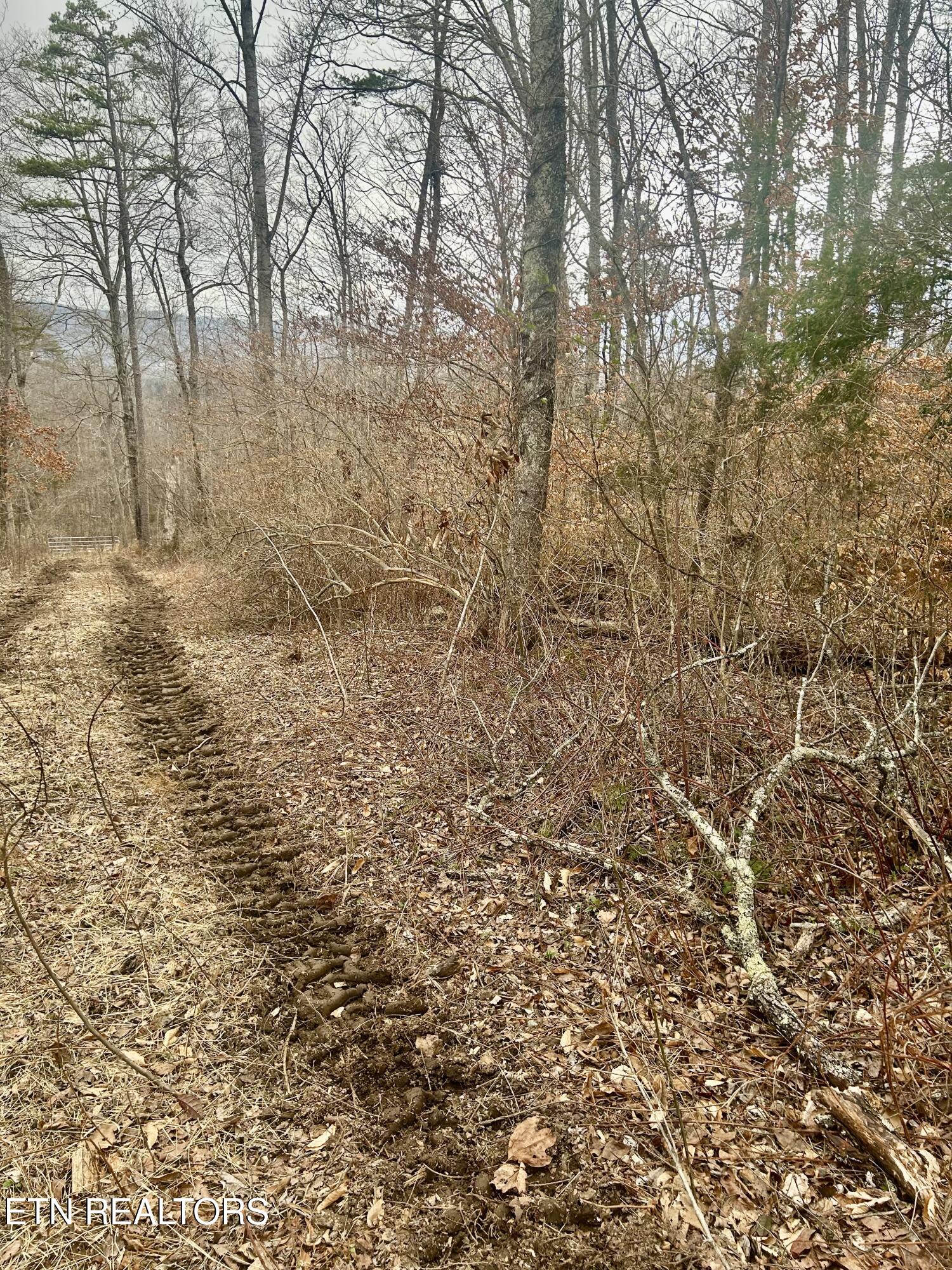 River Road Jacksboro TN 37757