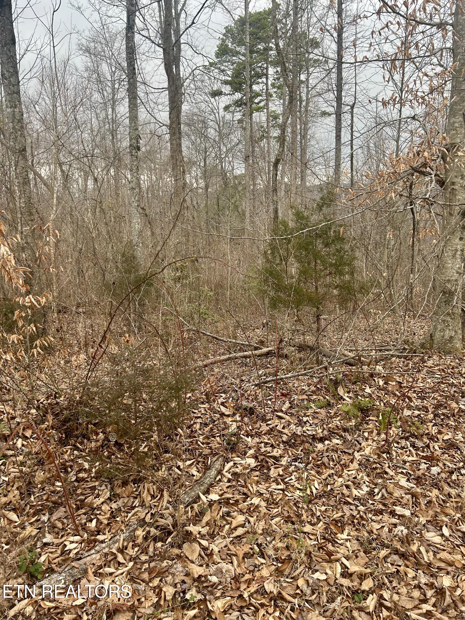 River Road Jacksboro TN 37757