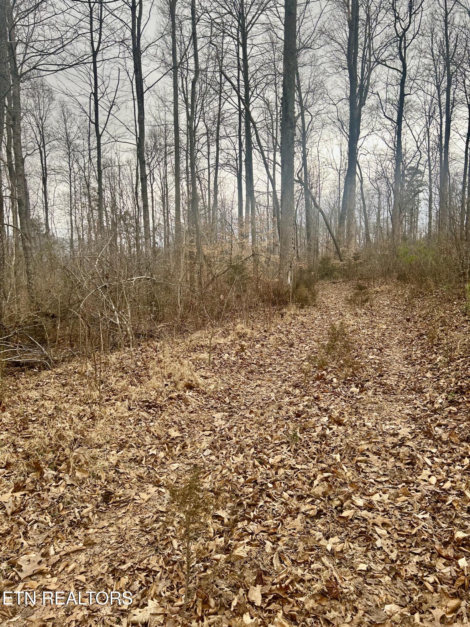 River Road Jacksboro TN 37757
