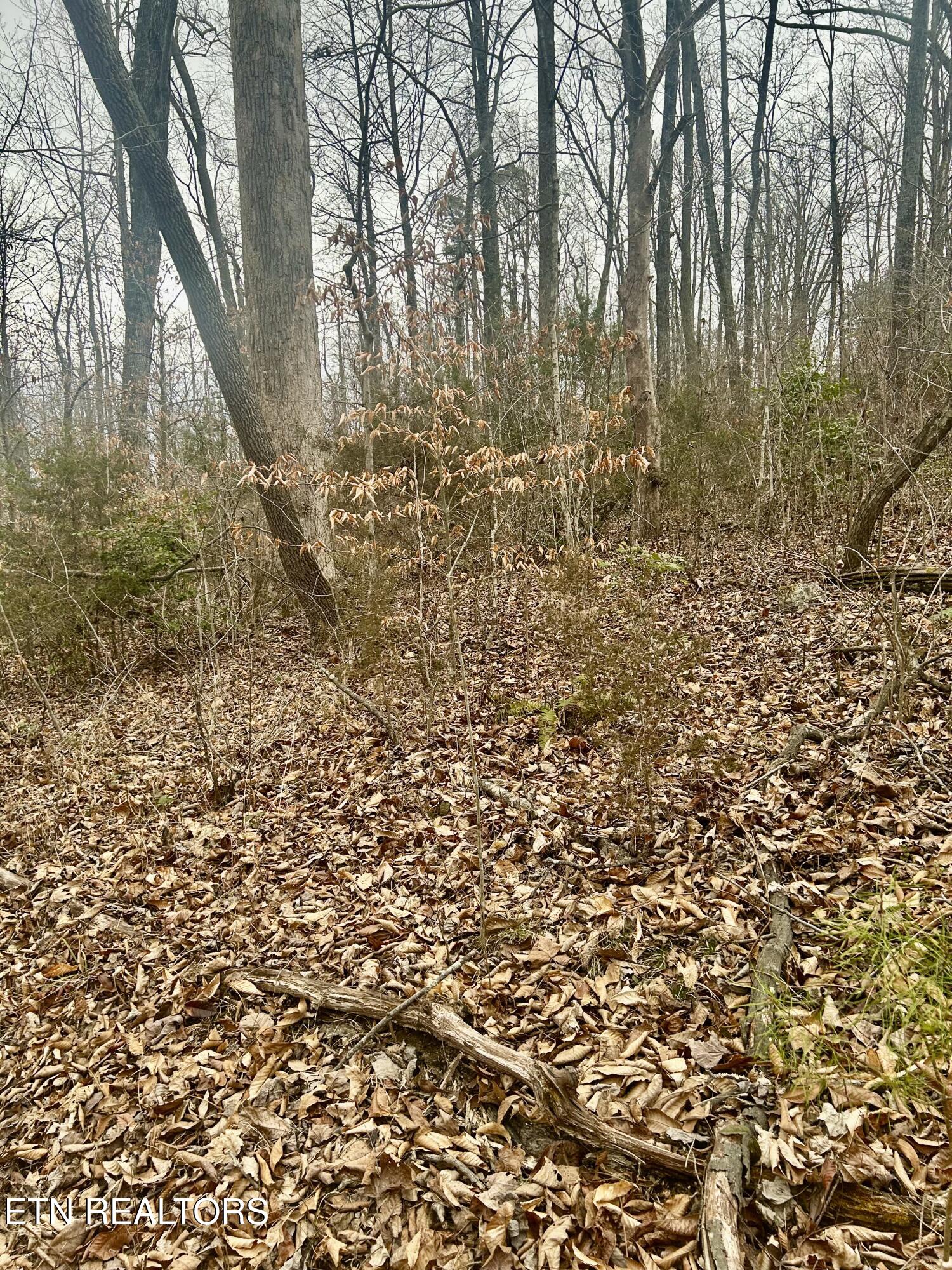 River Road Jacksboro TN 37757