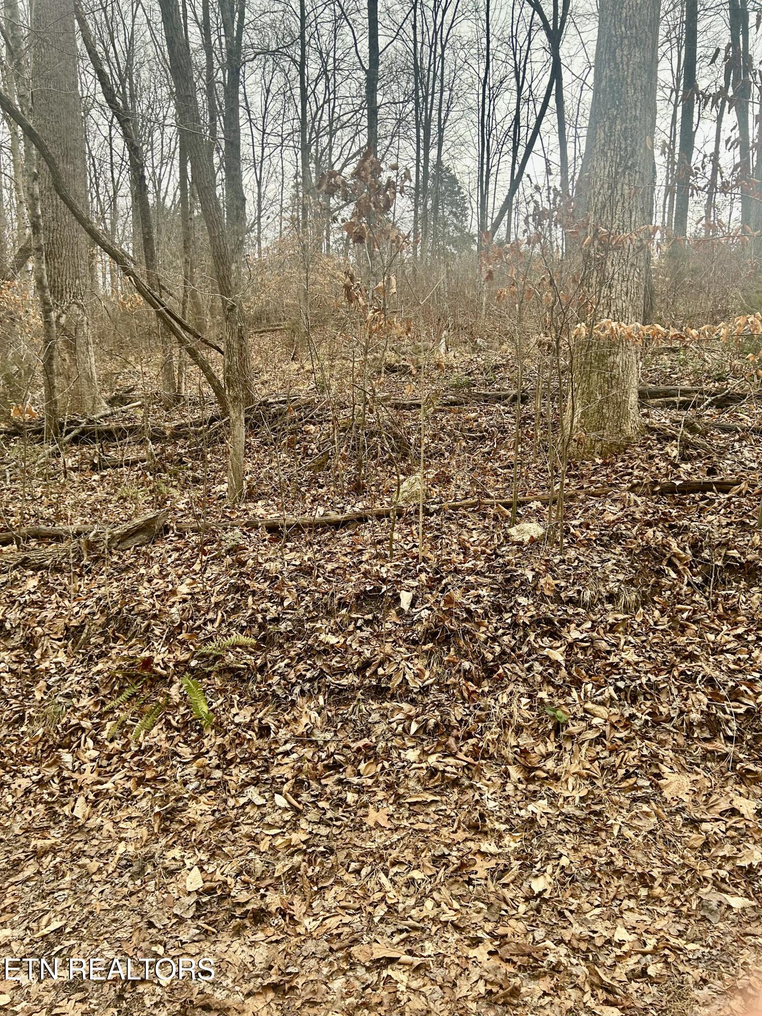 River Road Jacksboro TN 37757