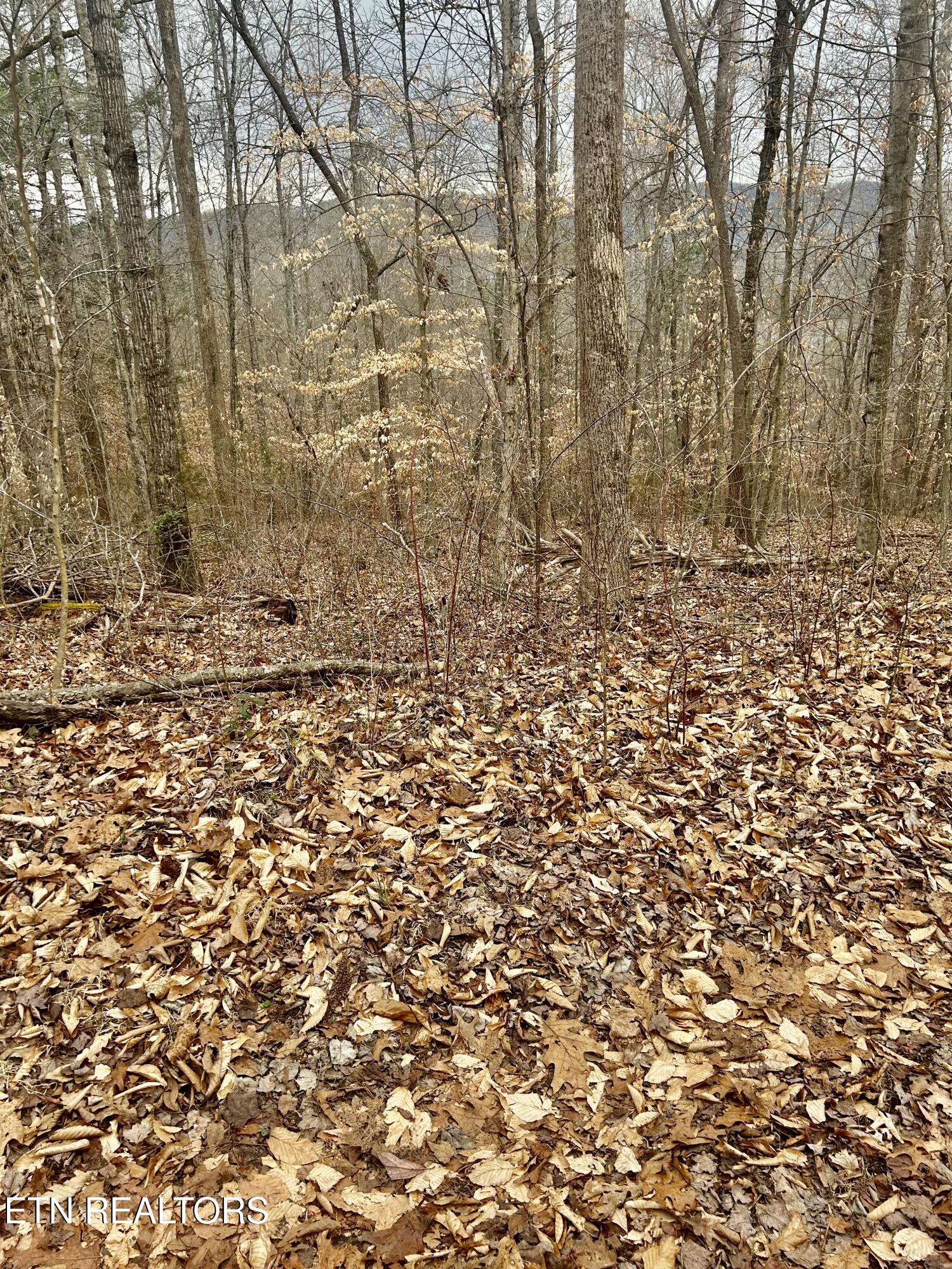 River Road Jacksboro TN 37757