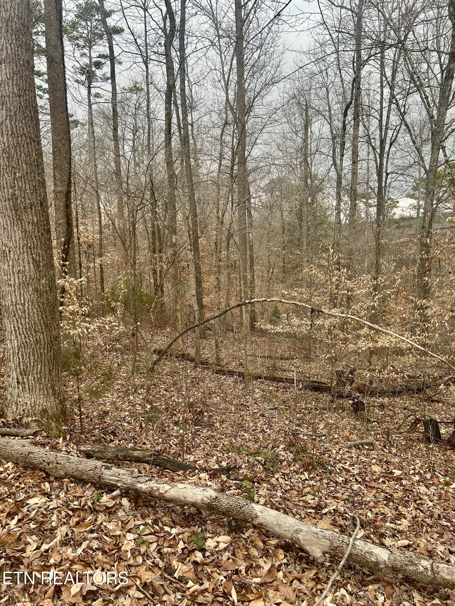 River Road Jacksboro TN 37757