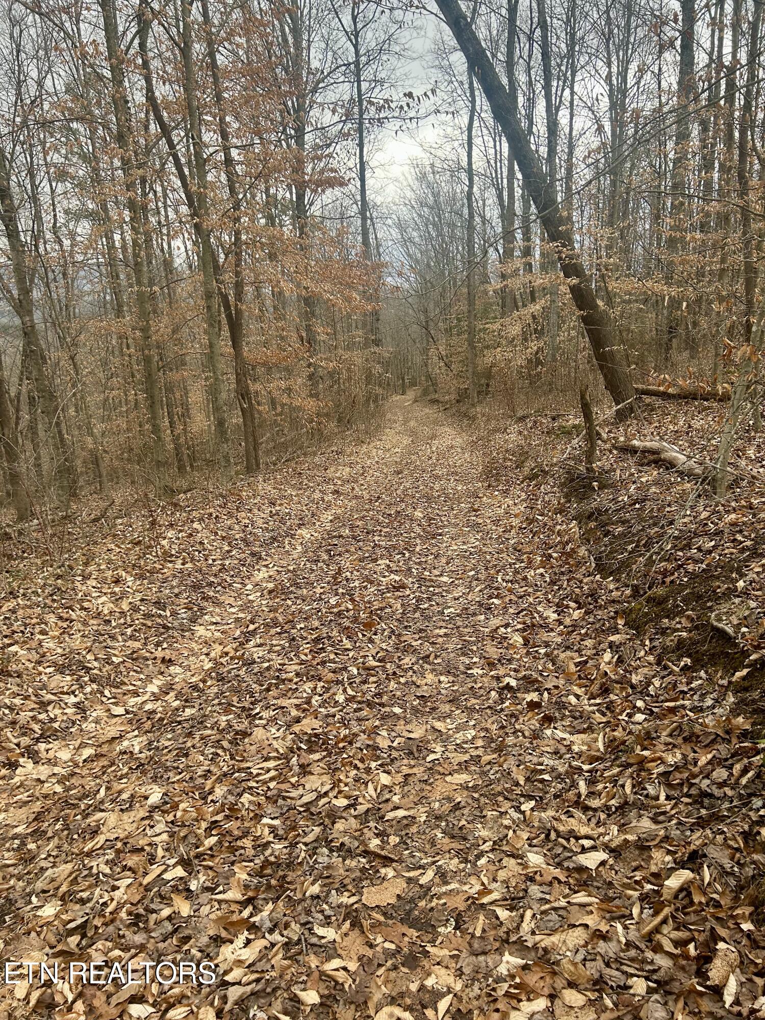 River Road Jacksboro TN 37757