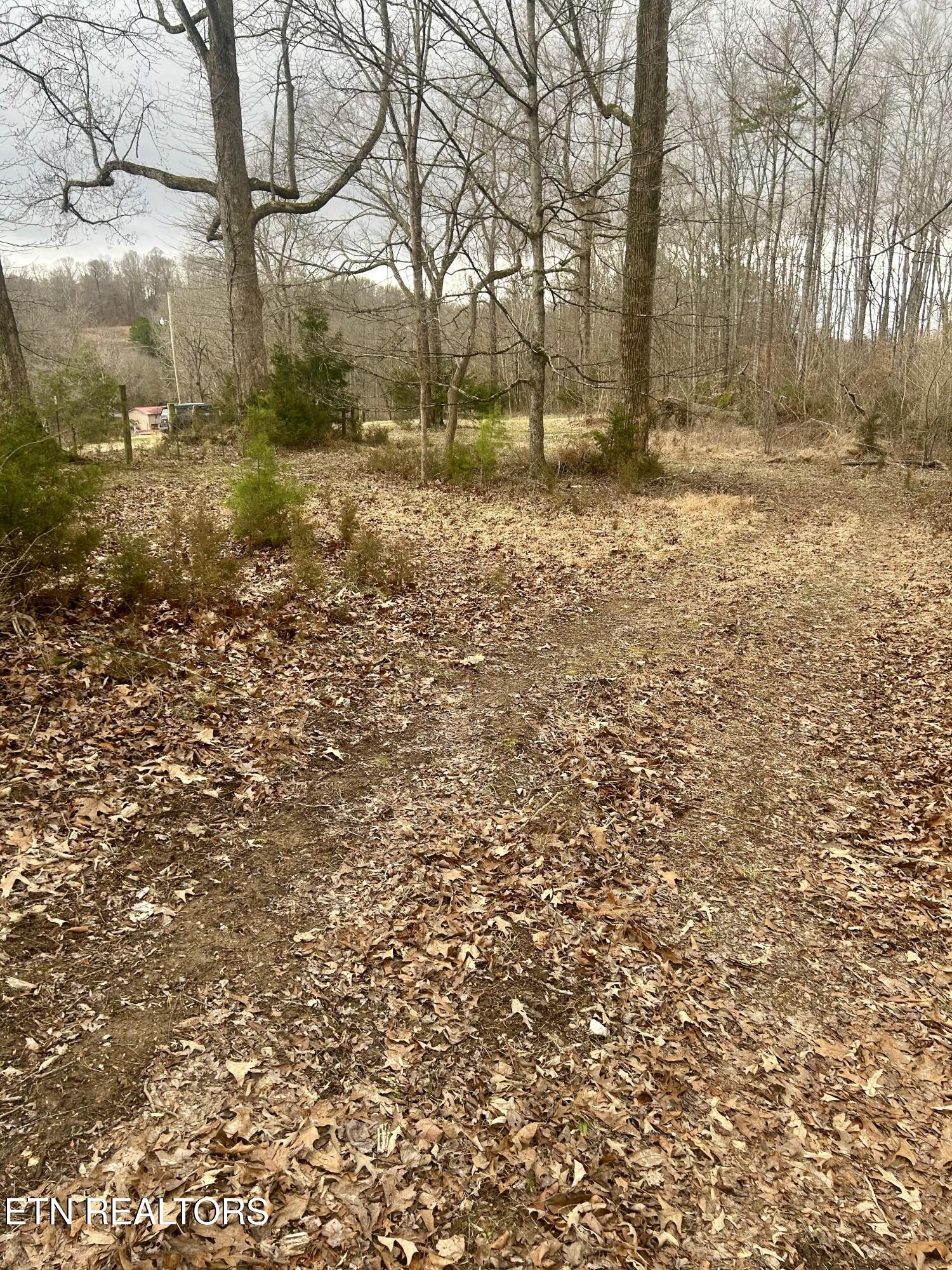 River Road Jacksboro TN 37757