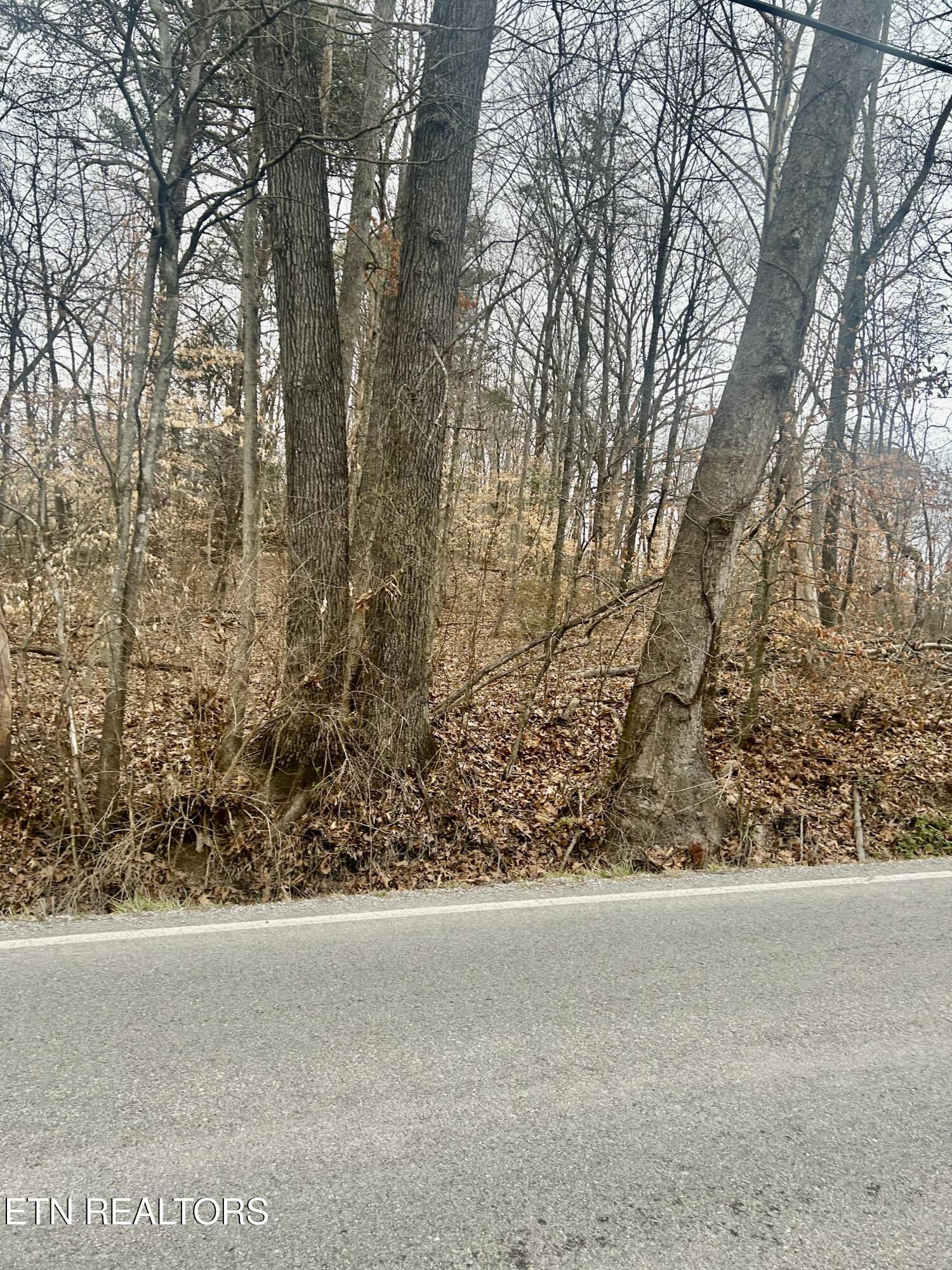 River Road Jacksboro TN 37757