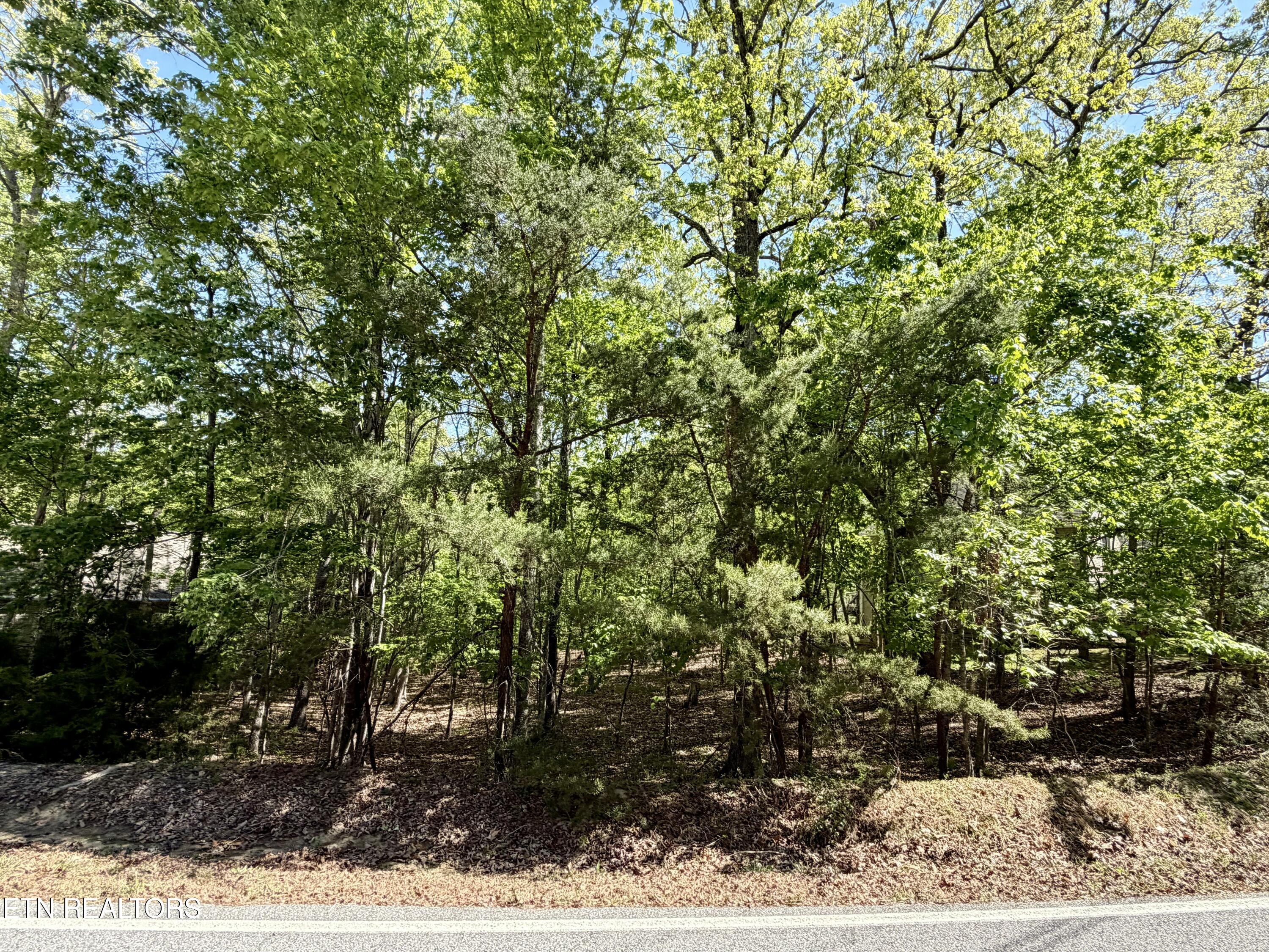 142 Mariners Drive Crossville TN 38558