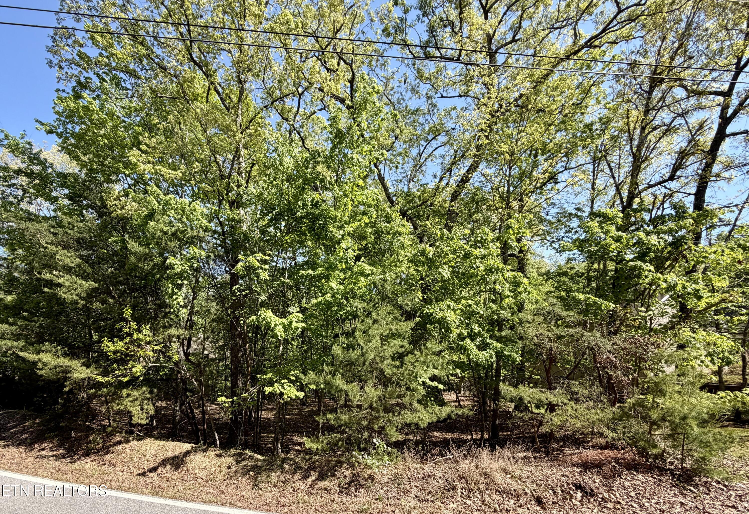 142 Mariners Drive Crossville TN 38558