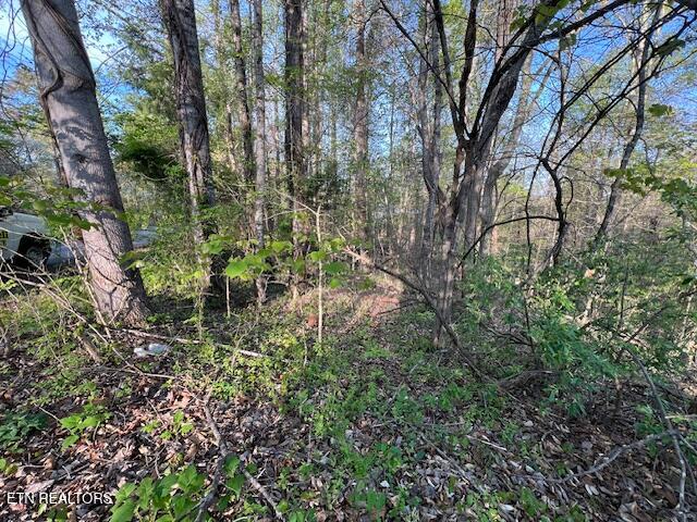 Pine Hollow Road Jacksboro TN 37757