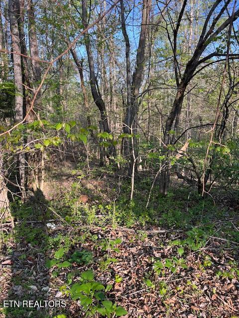 Pine Hollow Road Jacksboro TN 37757