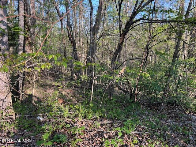 Pine Hollow Road Jacksboro TN 37757