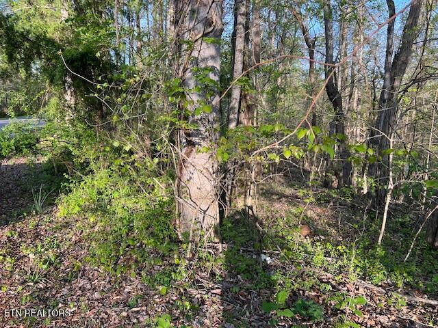 Pine Hollow Road Jacksboro TN 37757