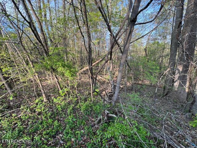 Pine Hollow Road Jacksboro TN 37757
